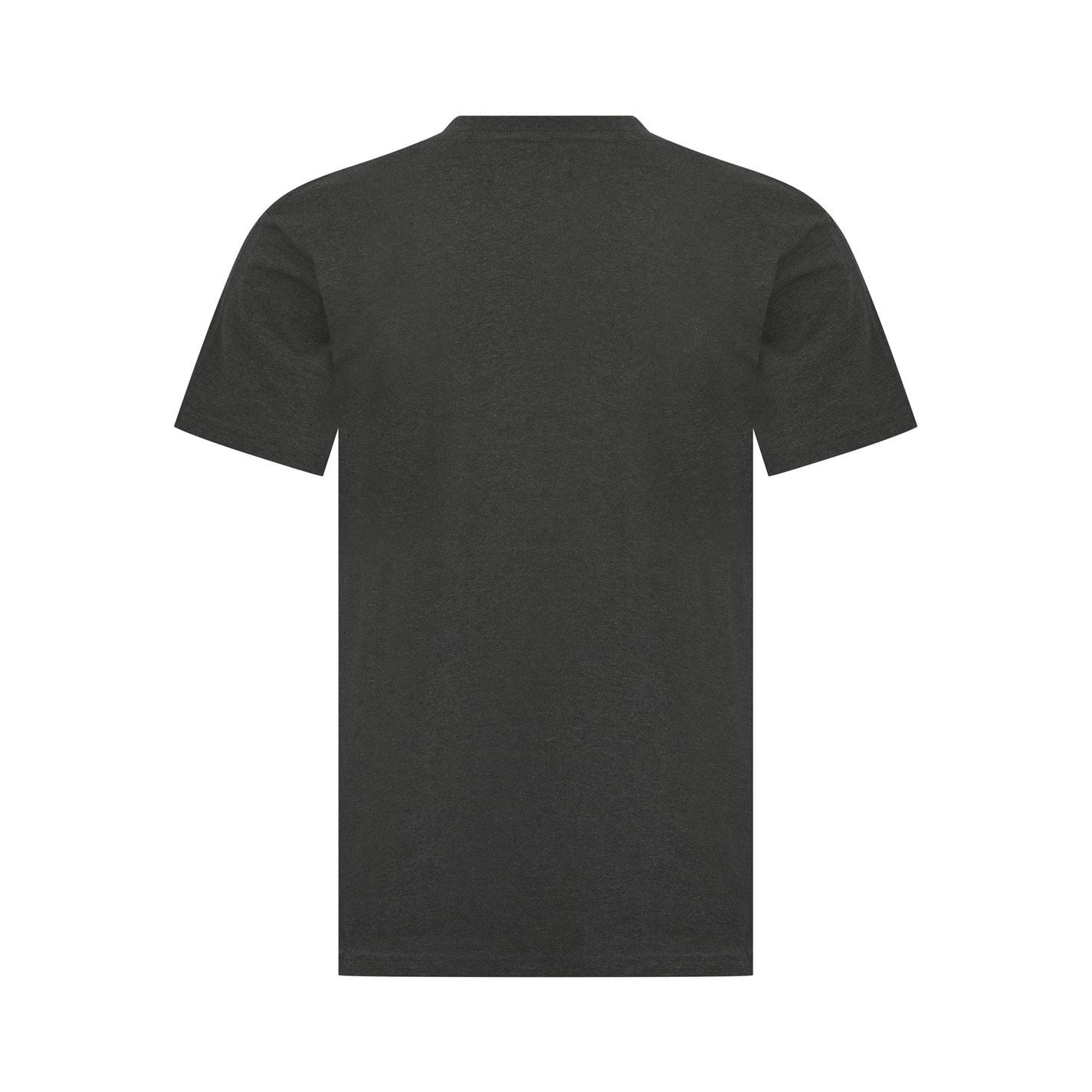 UCLA Large Logo Regular Fit Crew Neck T-Shirt