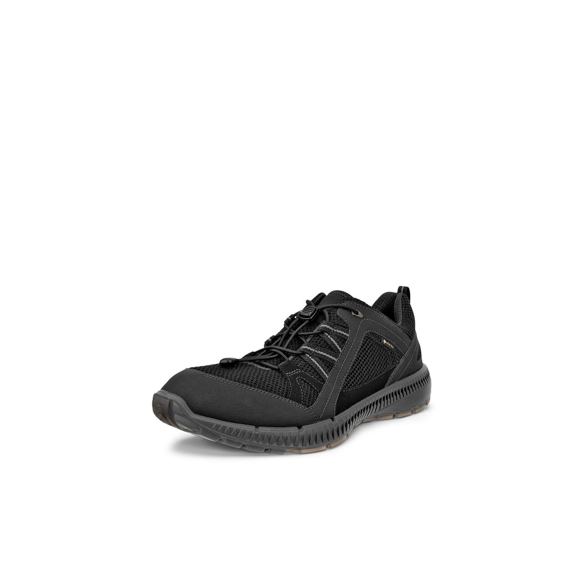 Ecco Waterproof Walking Shoes