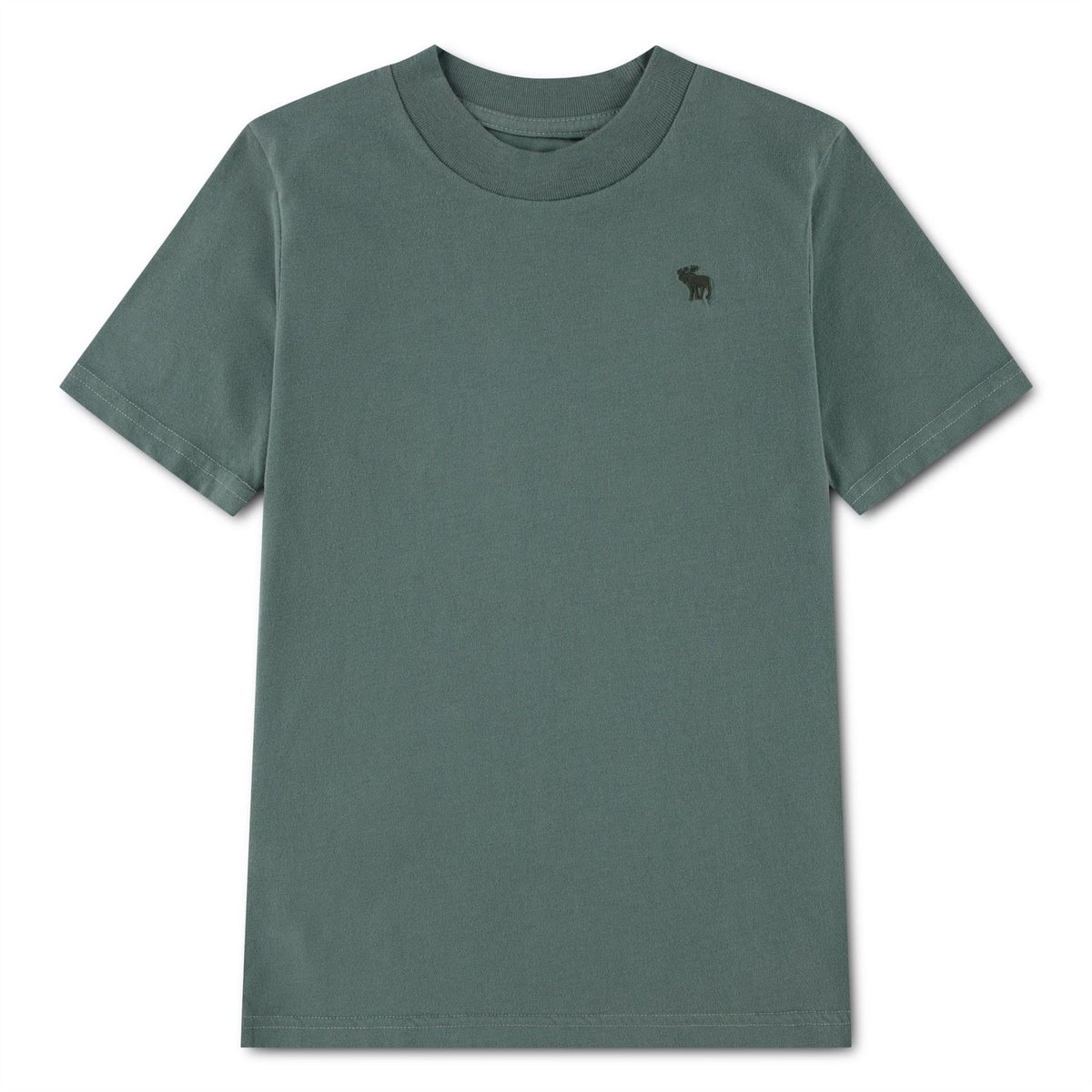 Abercrombie and Fitch And F Sht Sleeve E Jn63