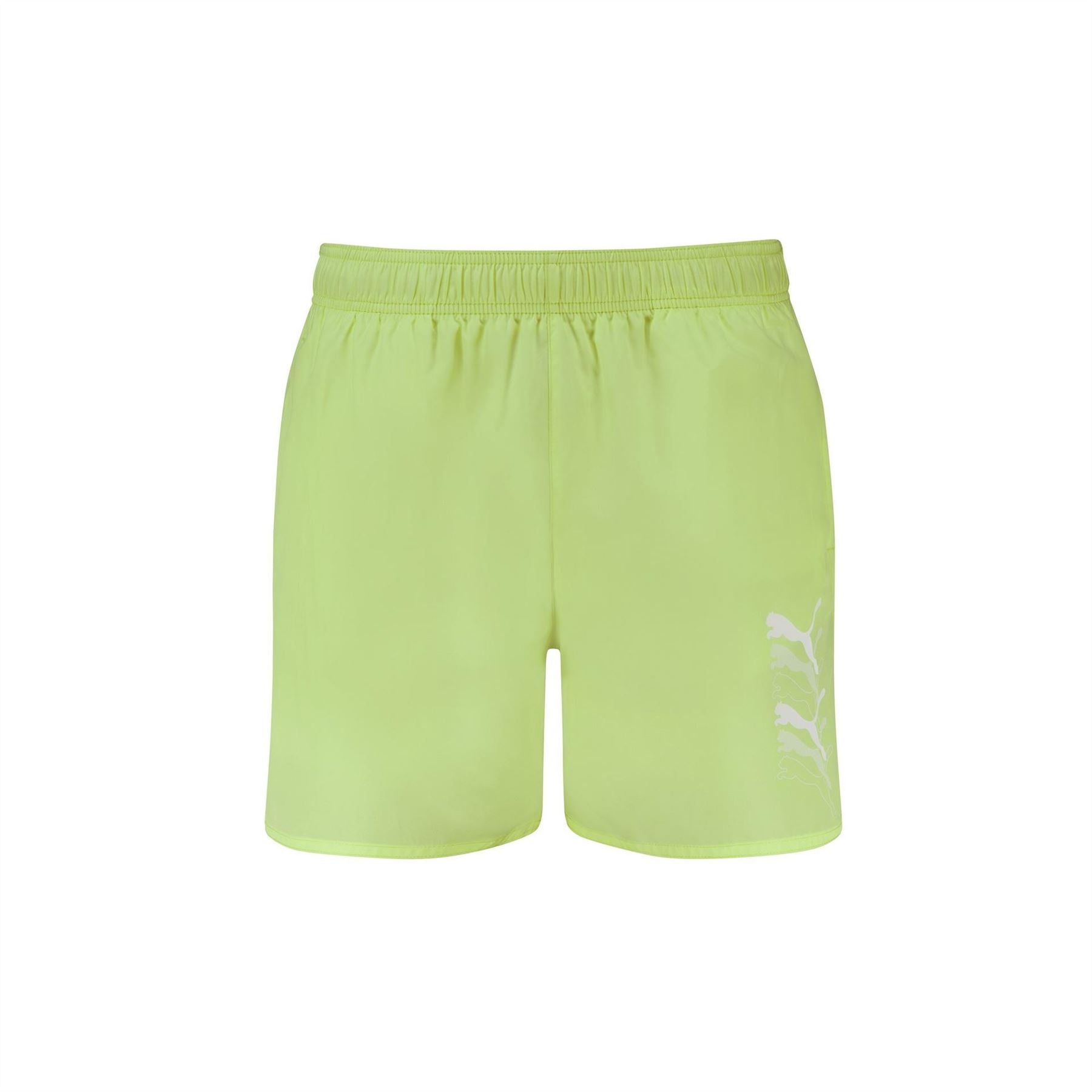Puma Swim Men Cats M