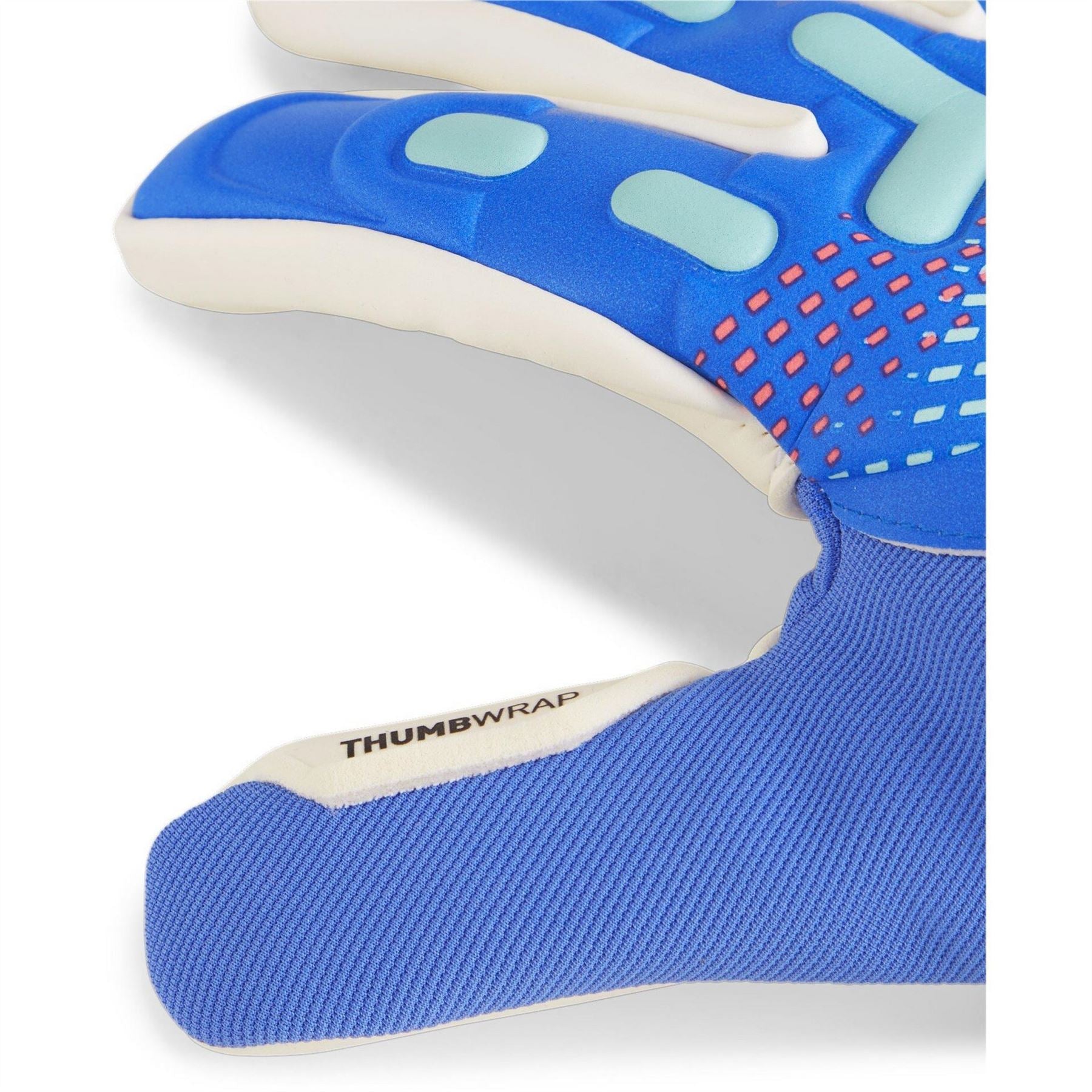 Puma Future Match Goalkeeper Glove Juniors