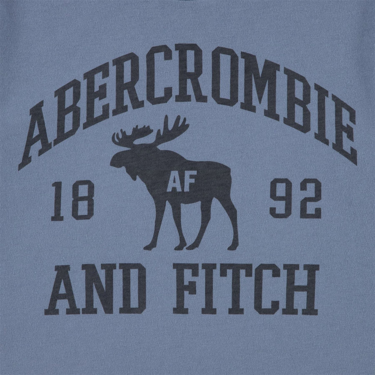 Abercrombie and Fitch Wordmark Graphic Crew Neck Short Sleeve T-Shirt