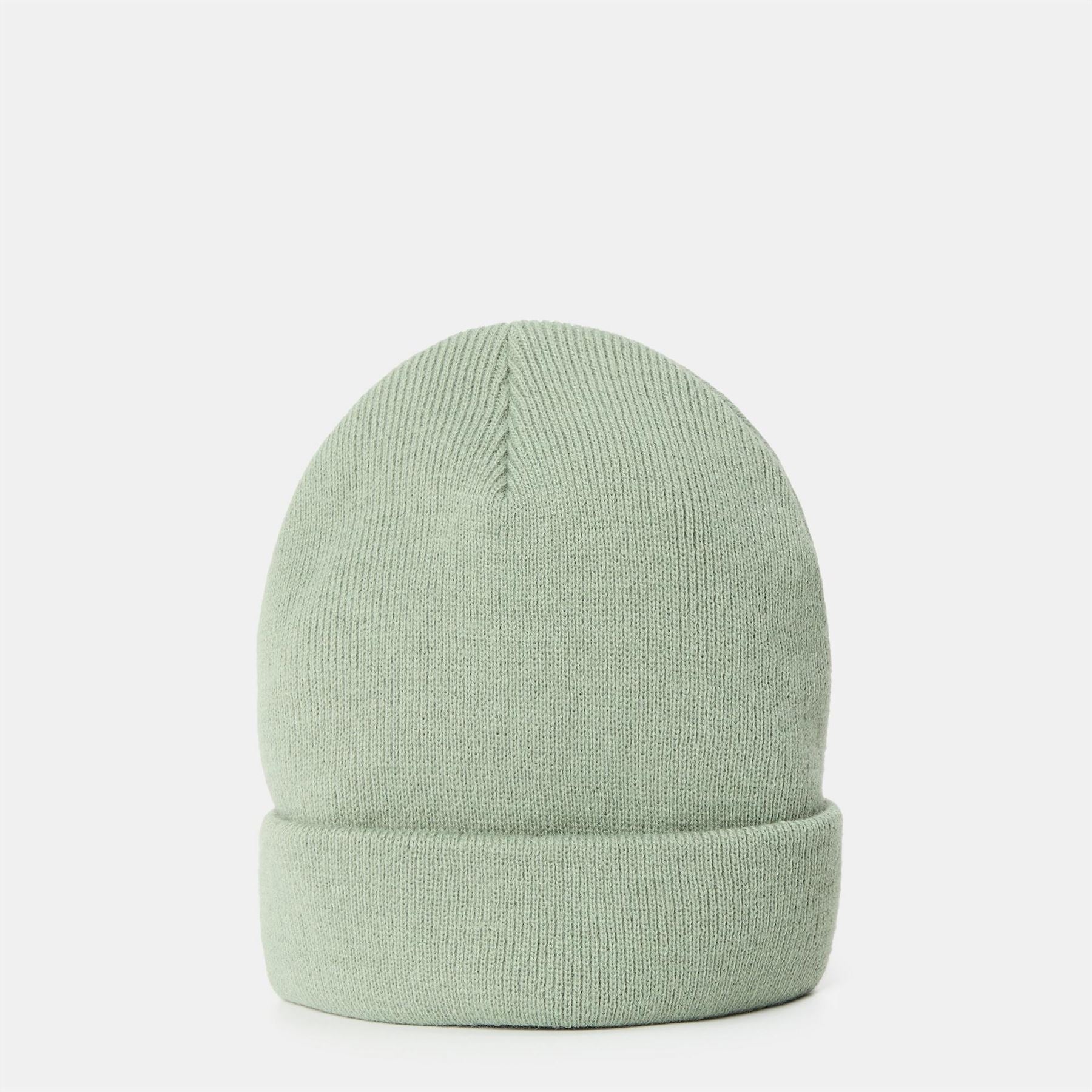 Dickies Gibsland Logo Adjustable Cuff Beanie