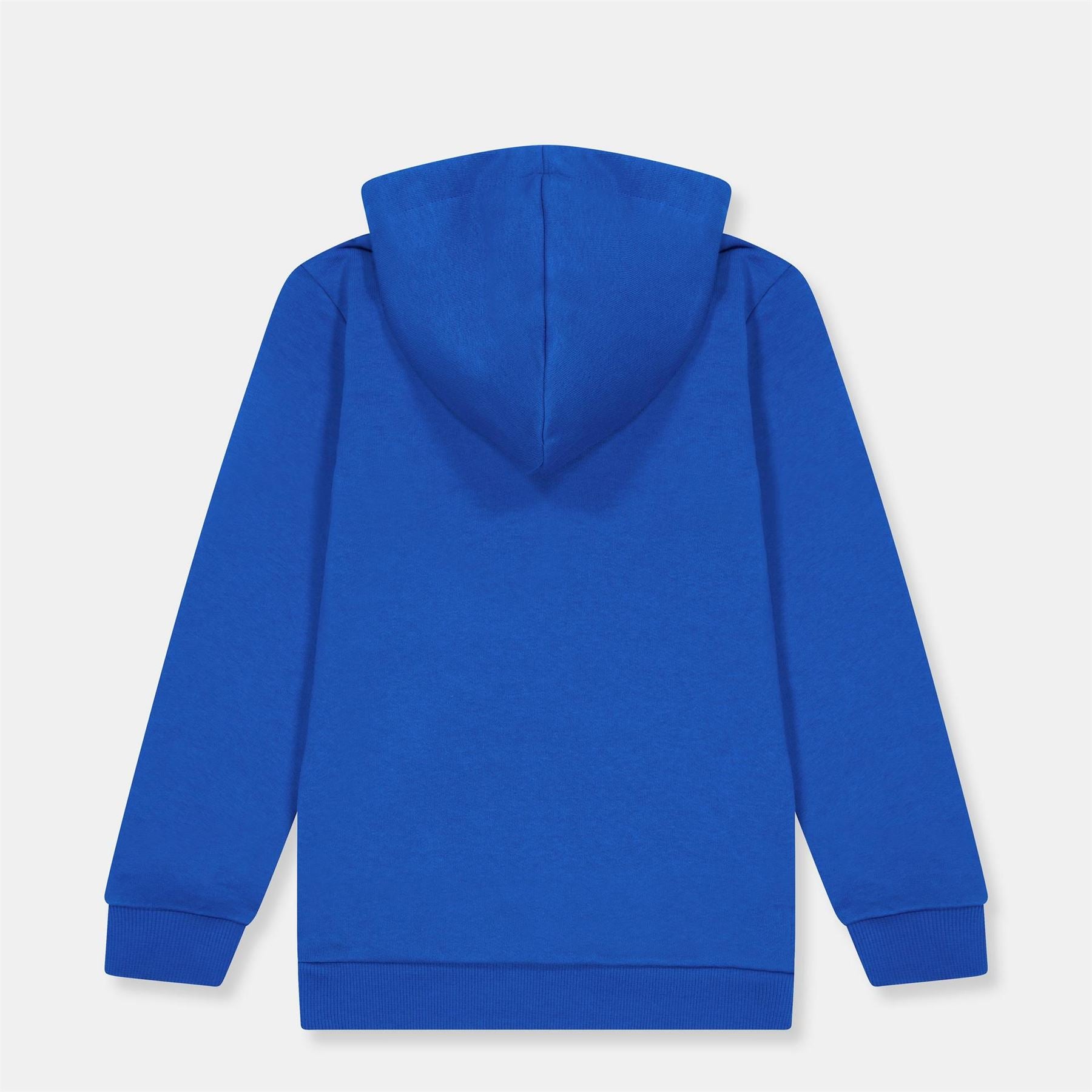 Puma Teamgoal Casuals Hoodie