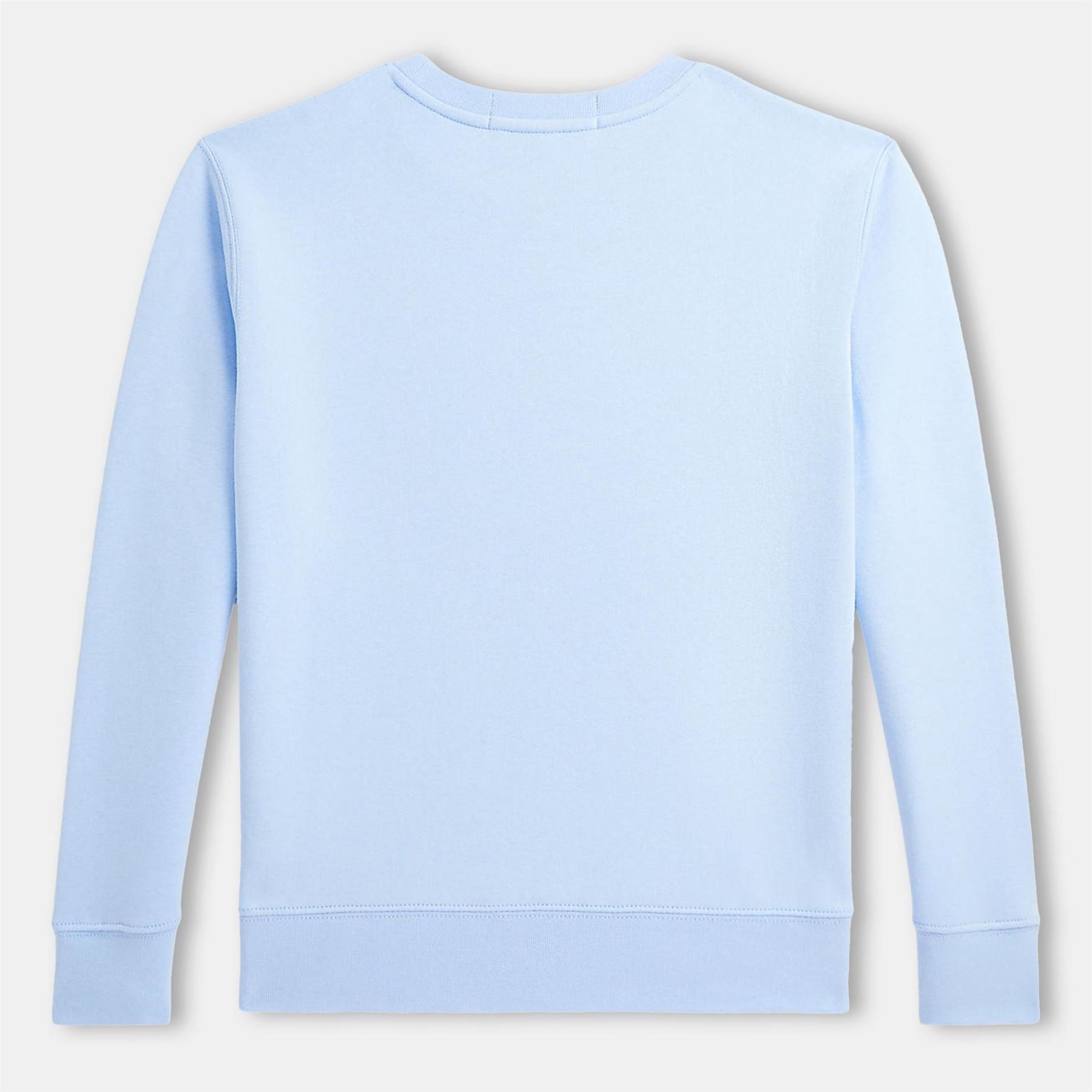 Polo Sport by Ralph Lauren Logo Sweater Juniors