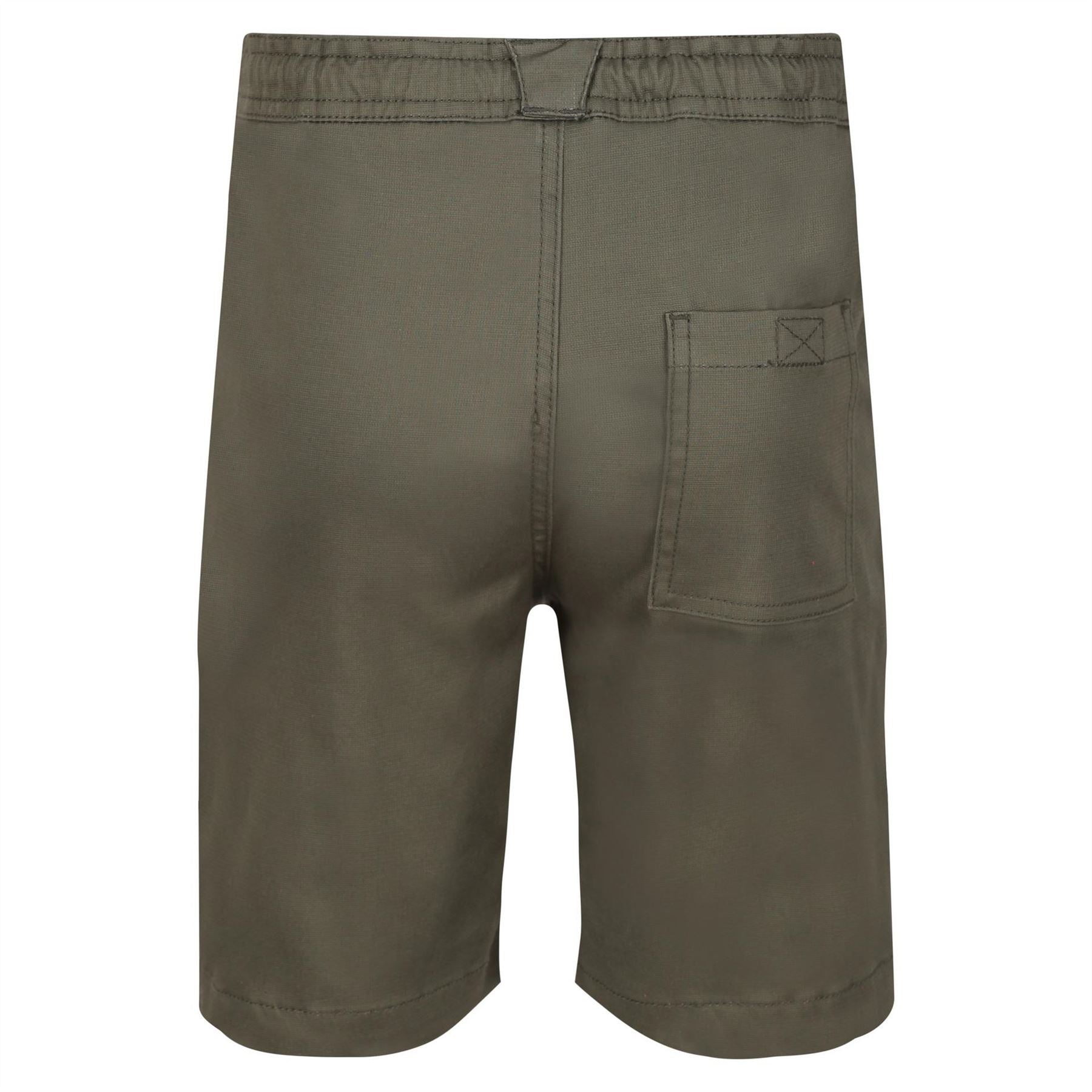 Regatta Alber Chino Shorts