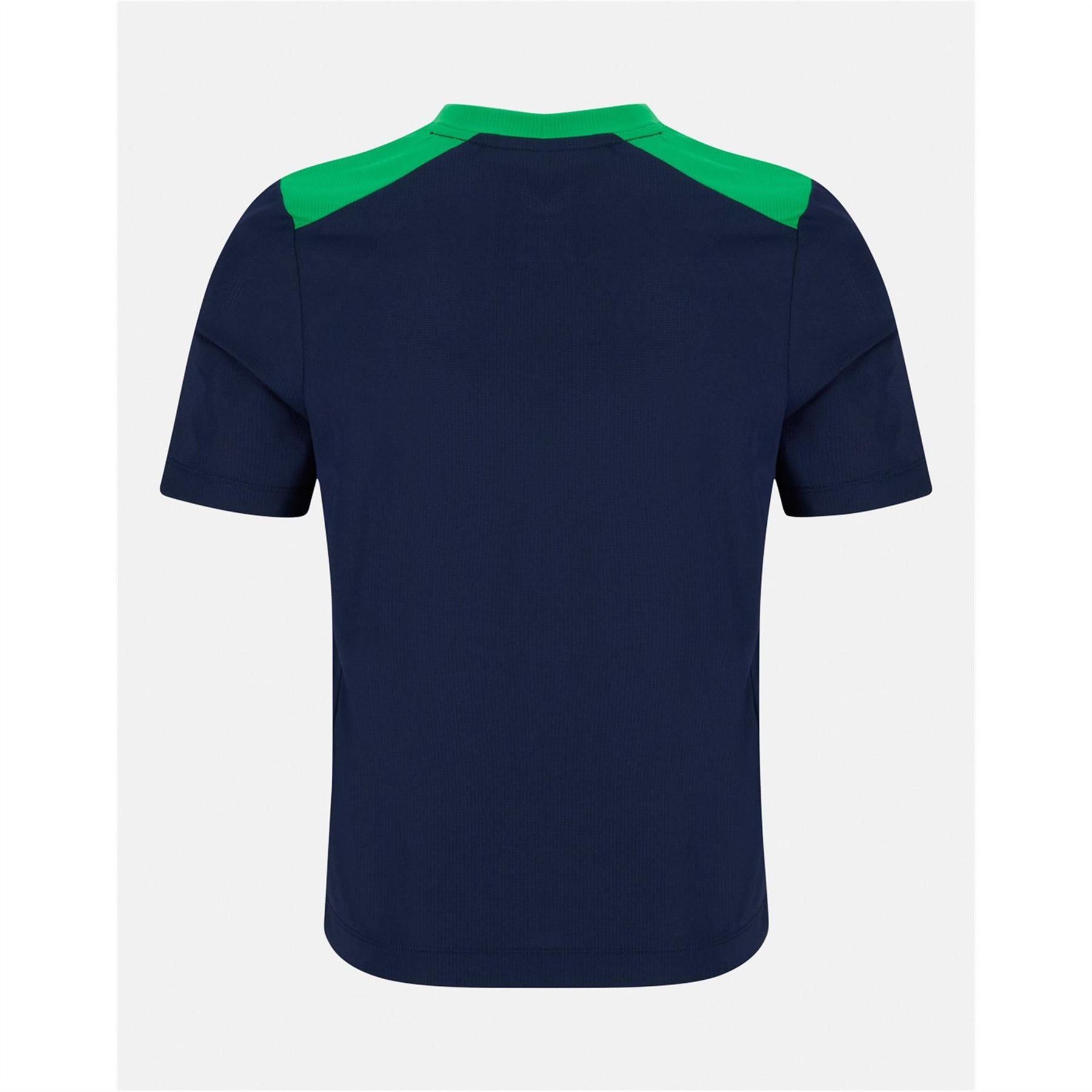 Castore Ireland Performance Short Sleeve Tee Junior