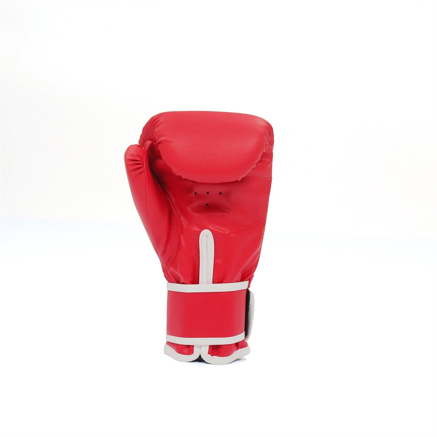 Everlast Core2 Boxing Glove