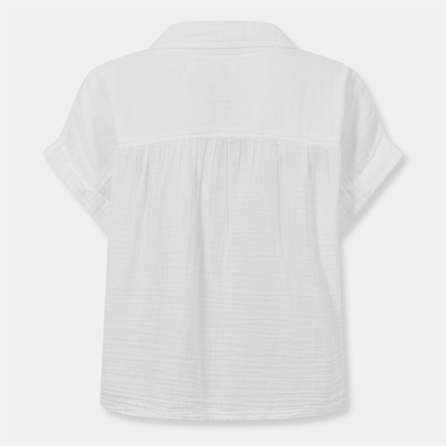 Velvet by Graham and Spencer Regular Fit Short Sleeve Shirt