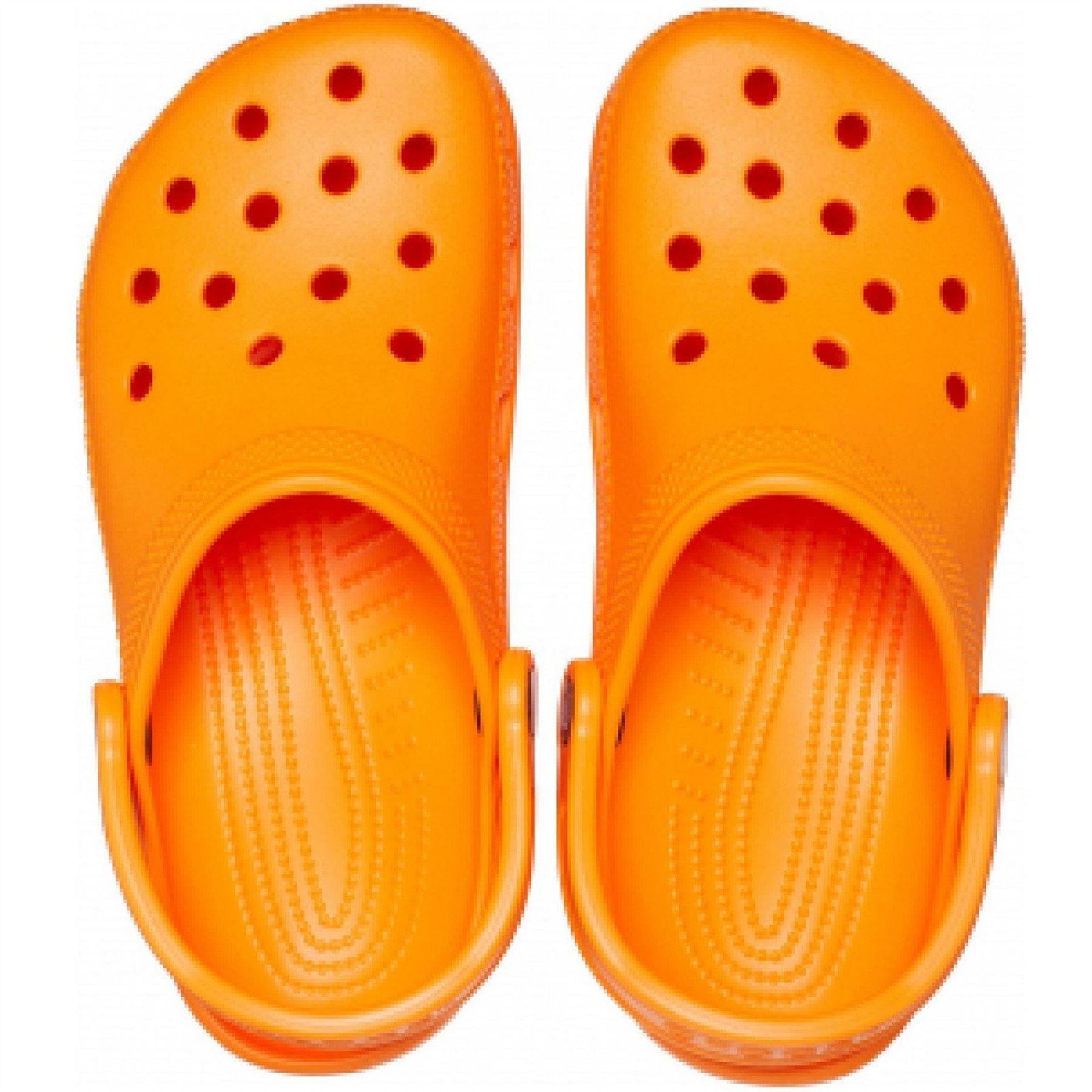 Crocs Classic Cel Shuv Clogs with Crocodile Print