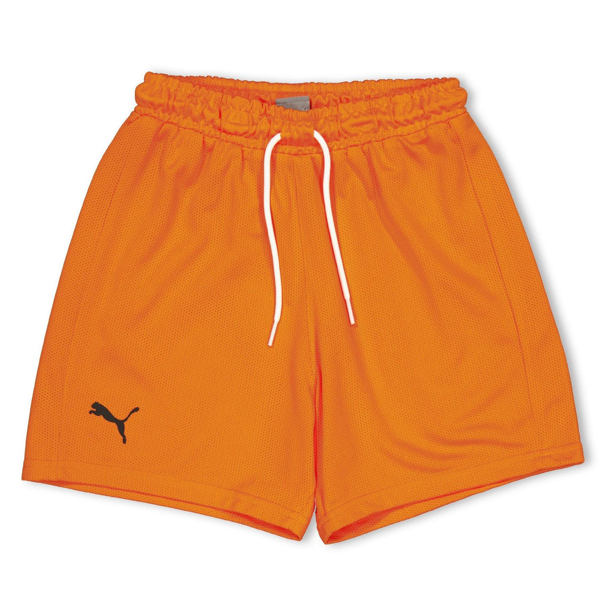 Puma Hoops Team Junior Practice Basketball Shorts