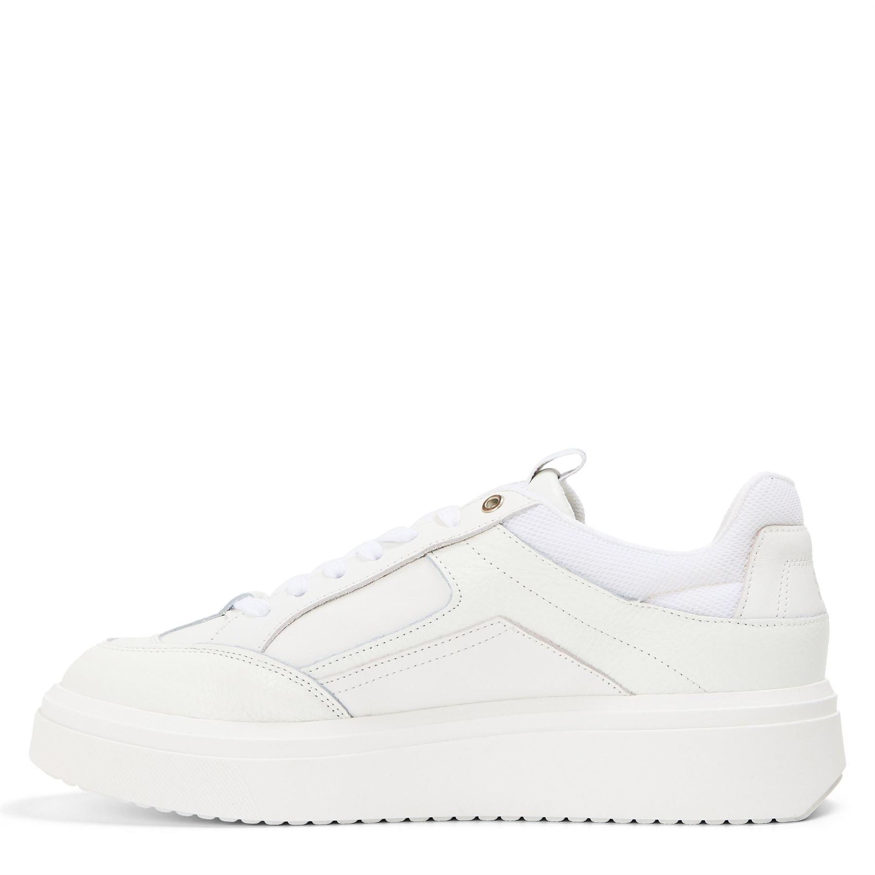 Steve Madden Orlando Low Top Trainers