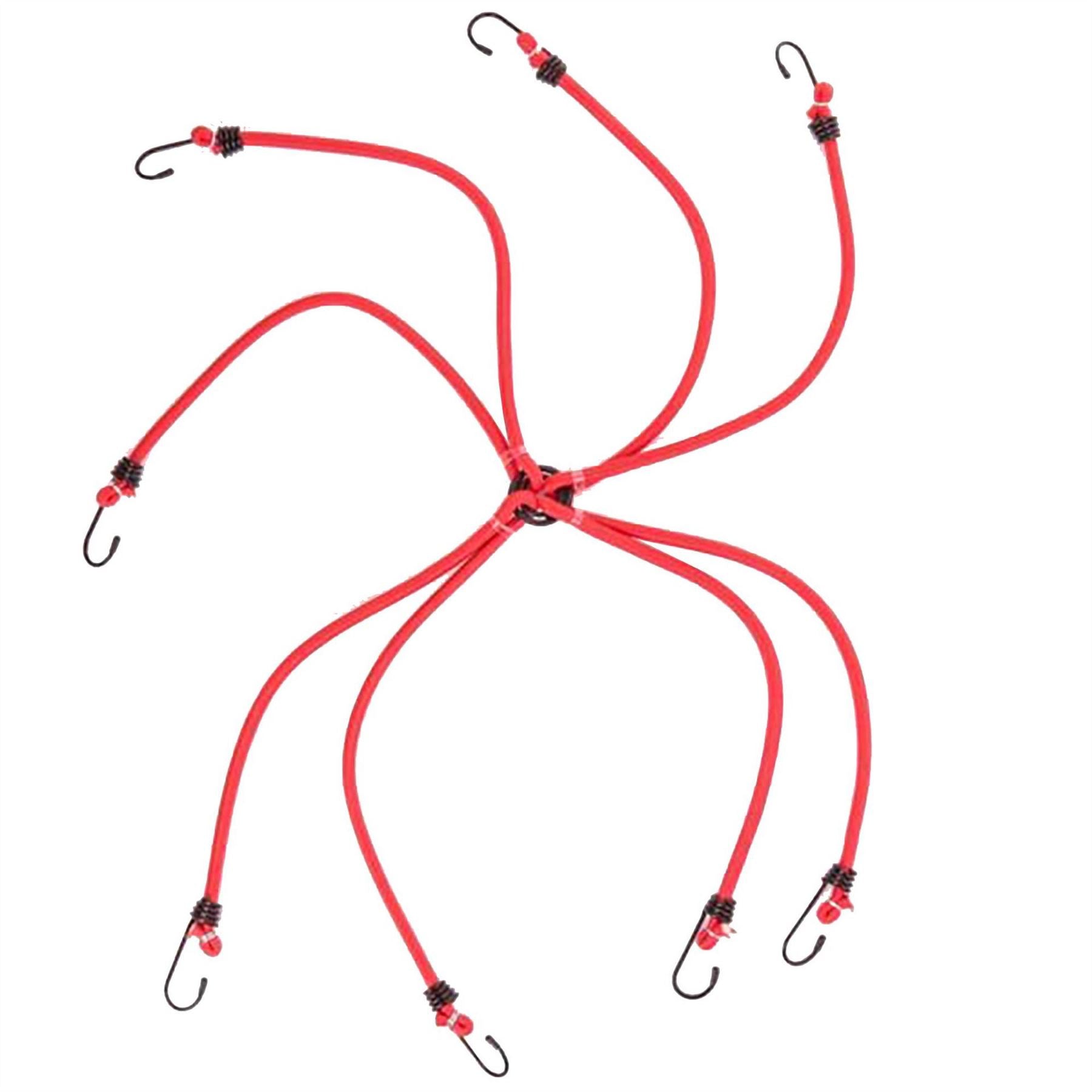 Dekton 6 Arm Spider Bungee Cord