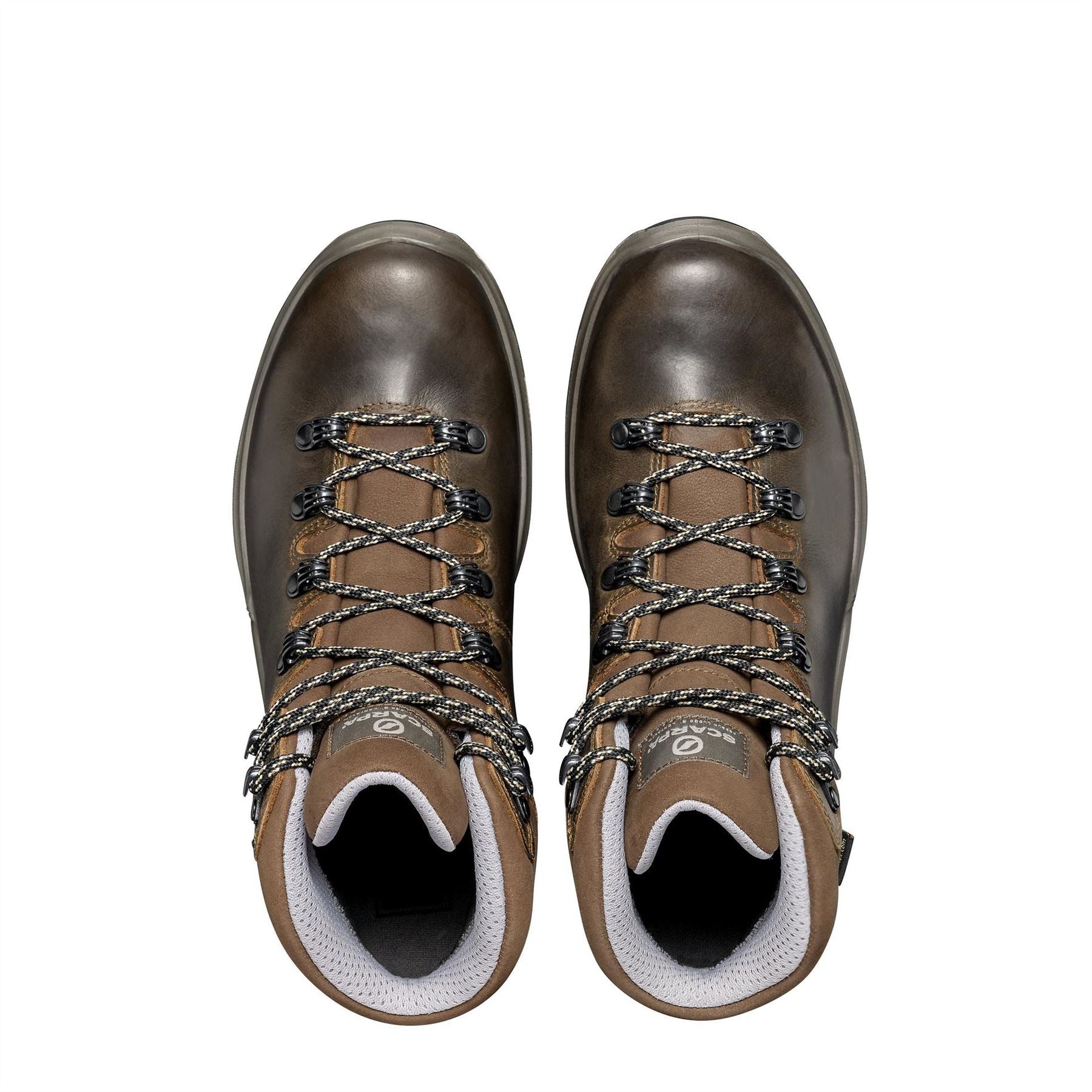 Scarpa Womens Terra GorE-Tex Hiking Boot