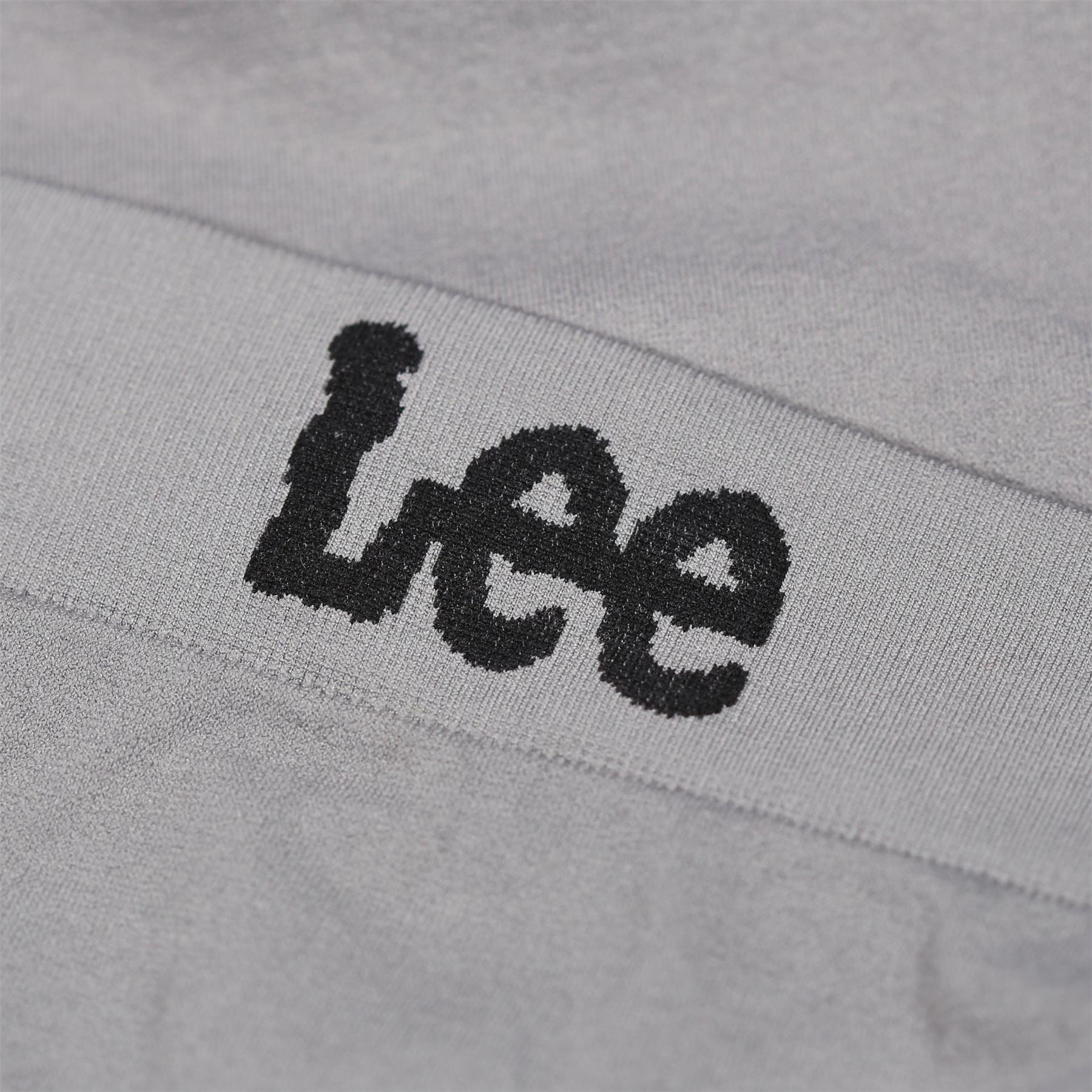 Lee High Waist Brief