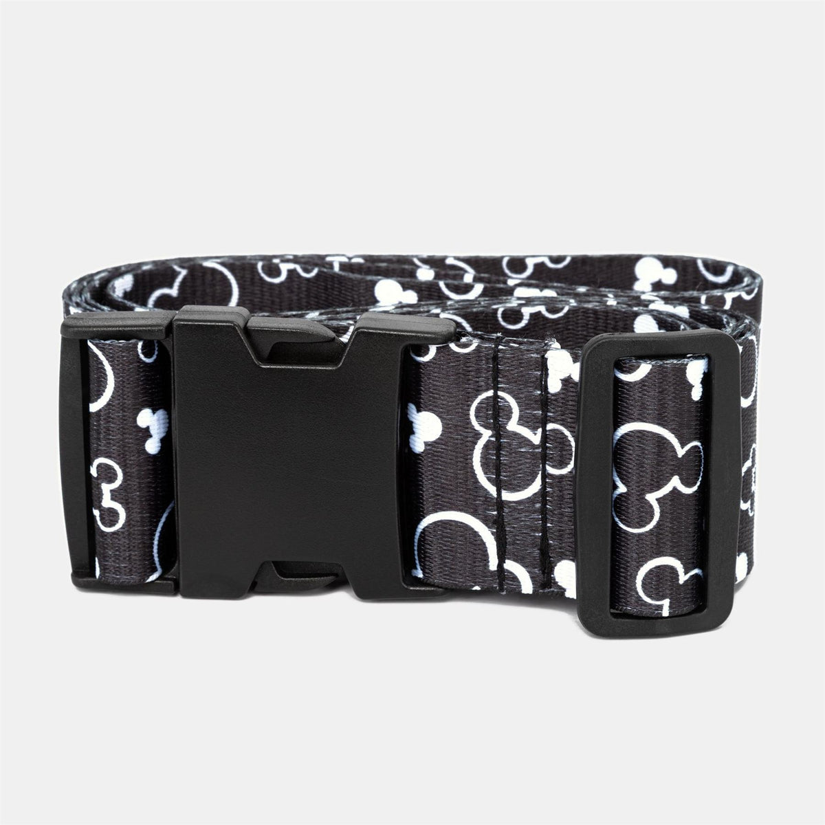 Character Belt