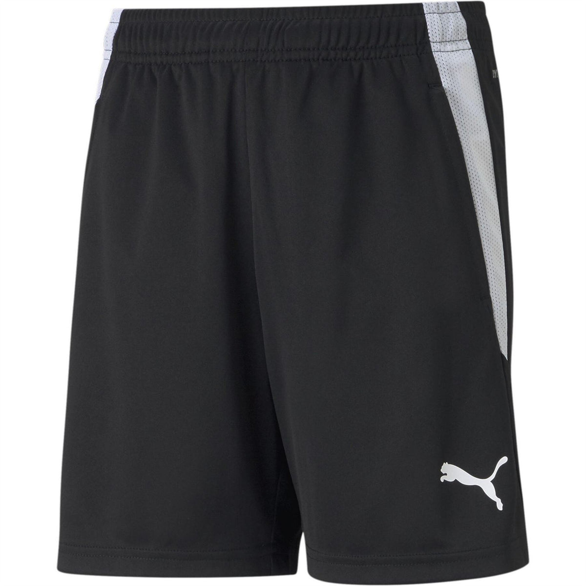 Puma Teamliga Training Shorts Jr Football Short Unisex Kids