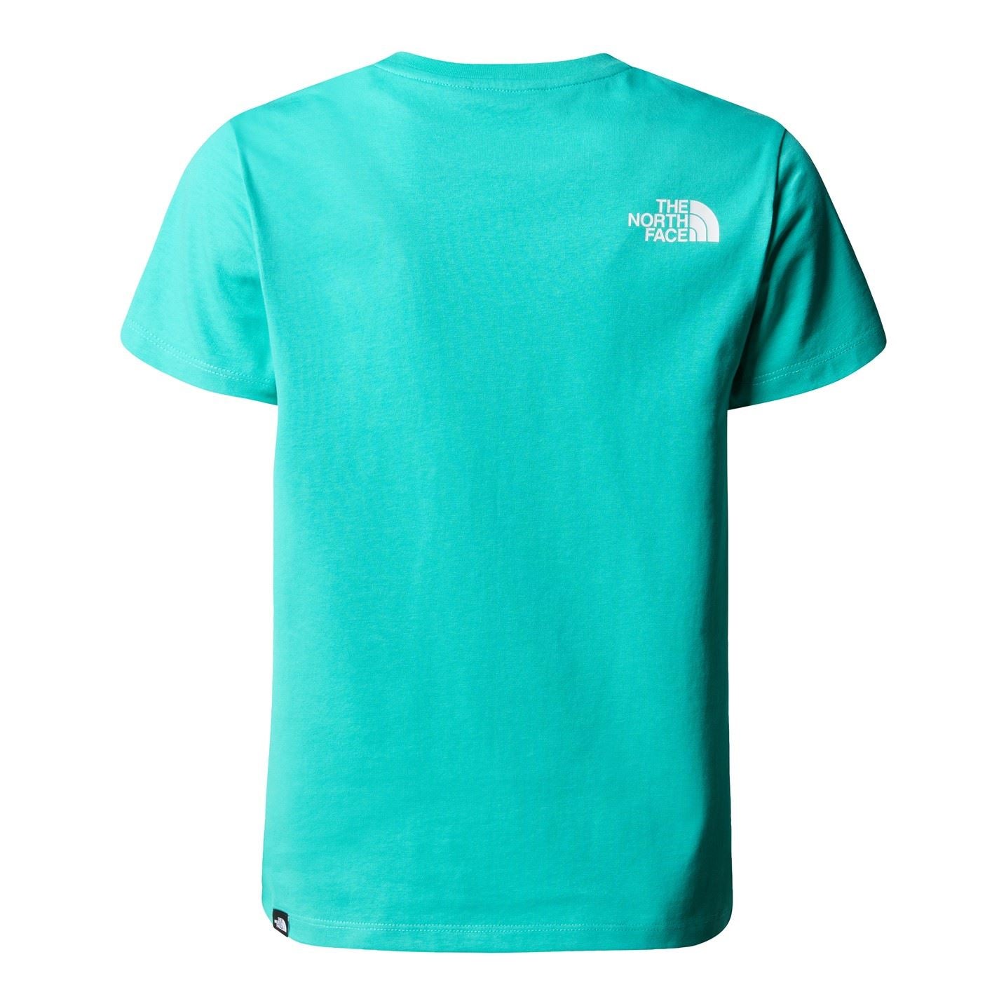 The North Face Logo T-Shirt