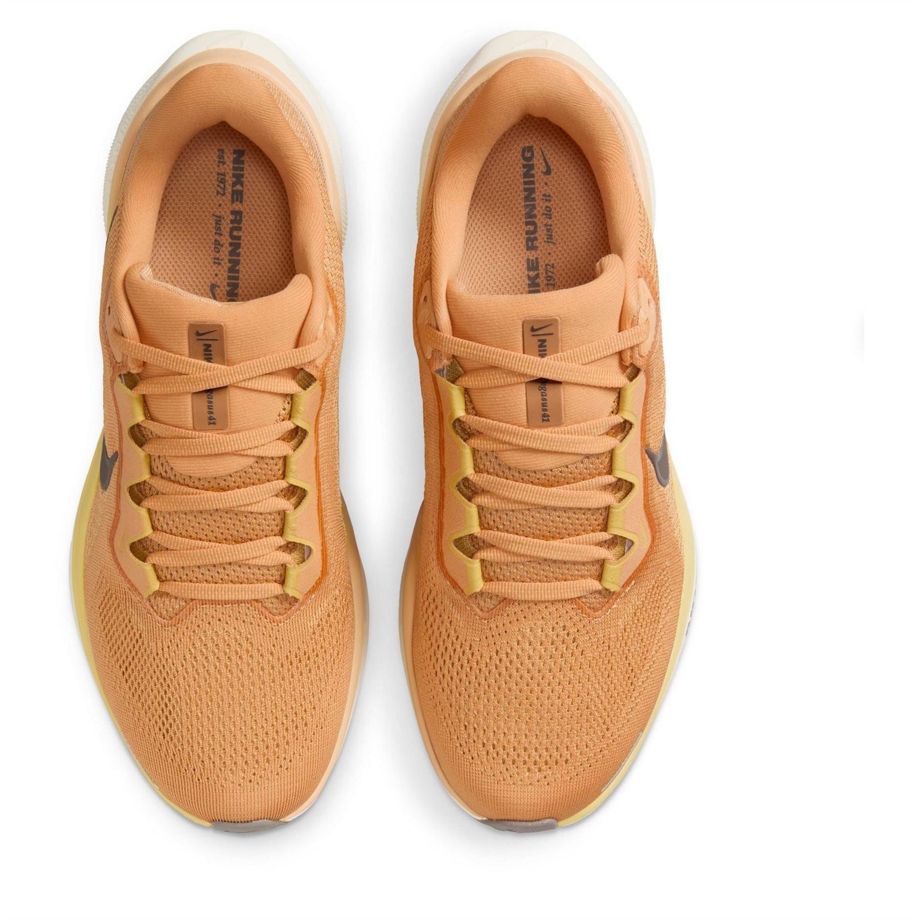 Nike Womens Pegasus 41 Road Running Shoes