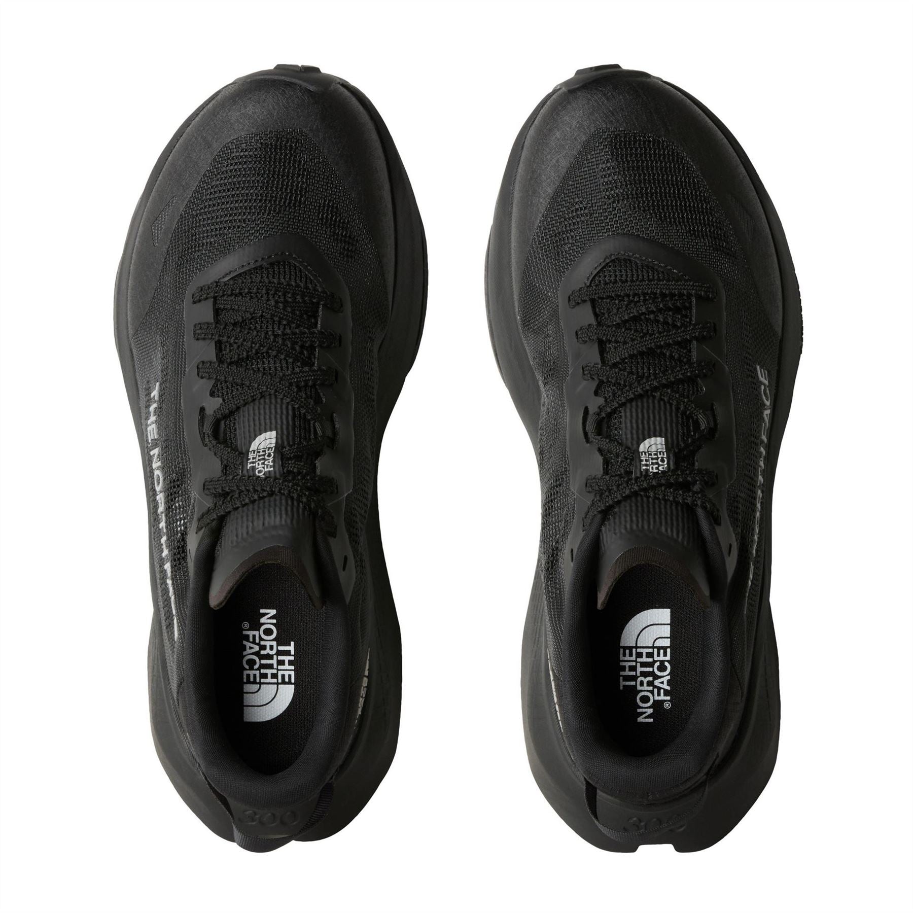 The North Face Womens Altamesa 300 V2