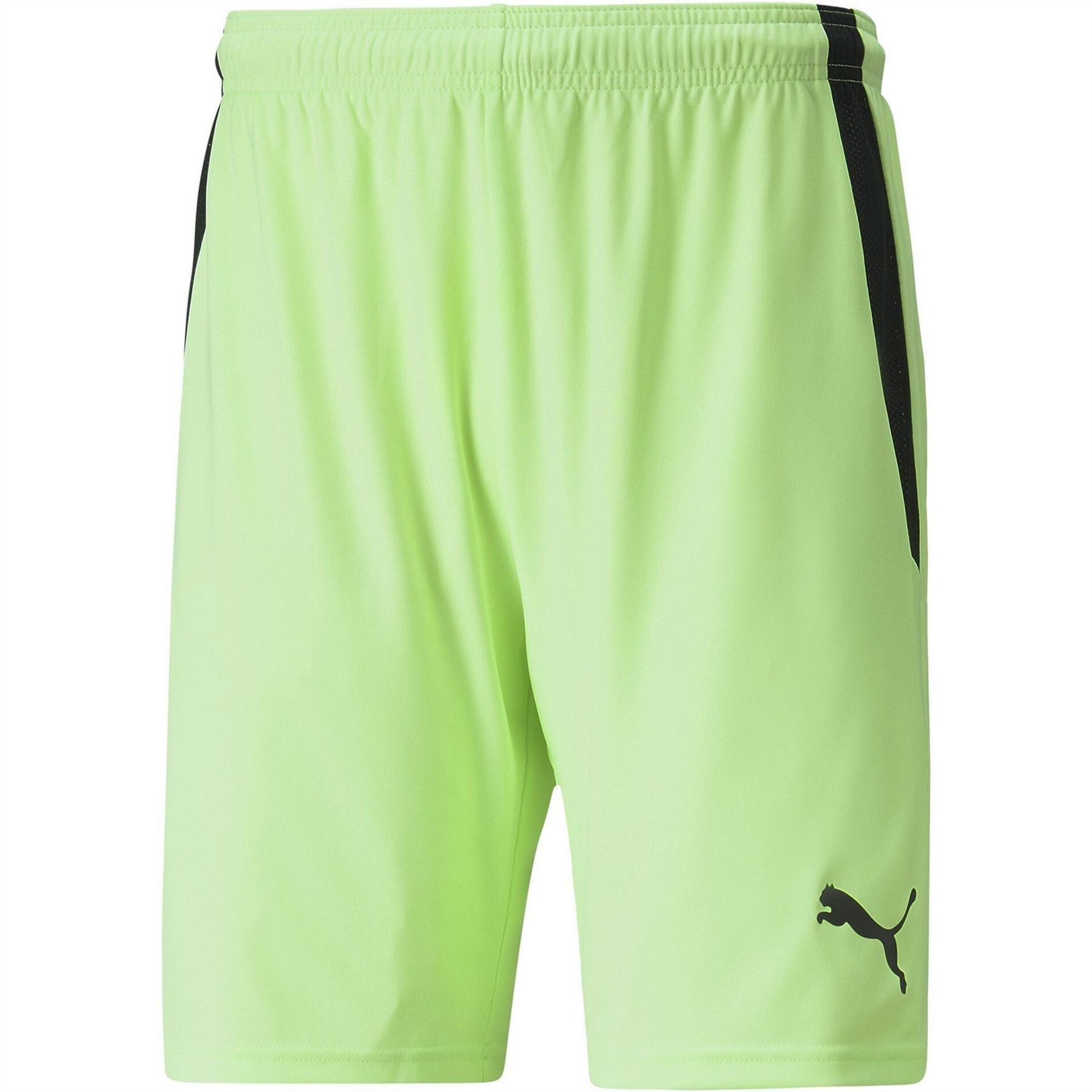 Puma Mens Teamliga Shorts Football Shorts