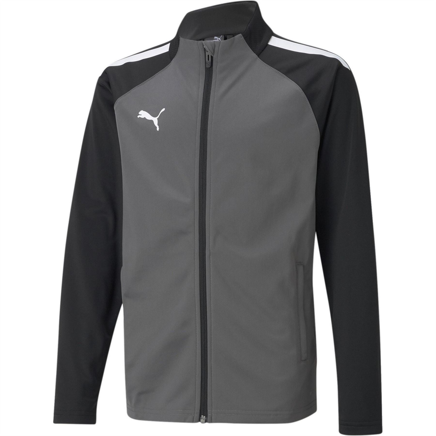 Puma Teamliga Training Jacket Jr Tracksuit Top Unisex Kids