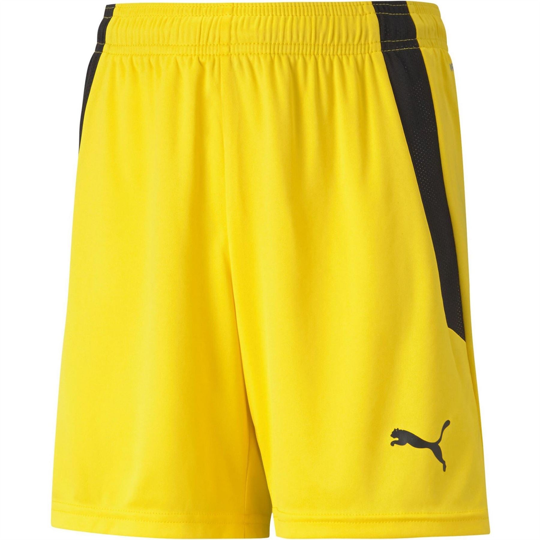 Puma Teamliga Shorts Jr Football Short Unisex Kids