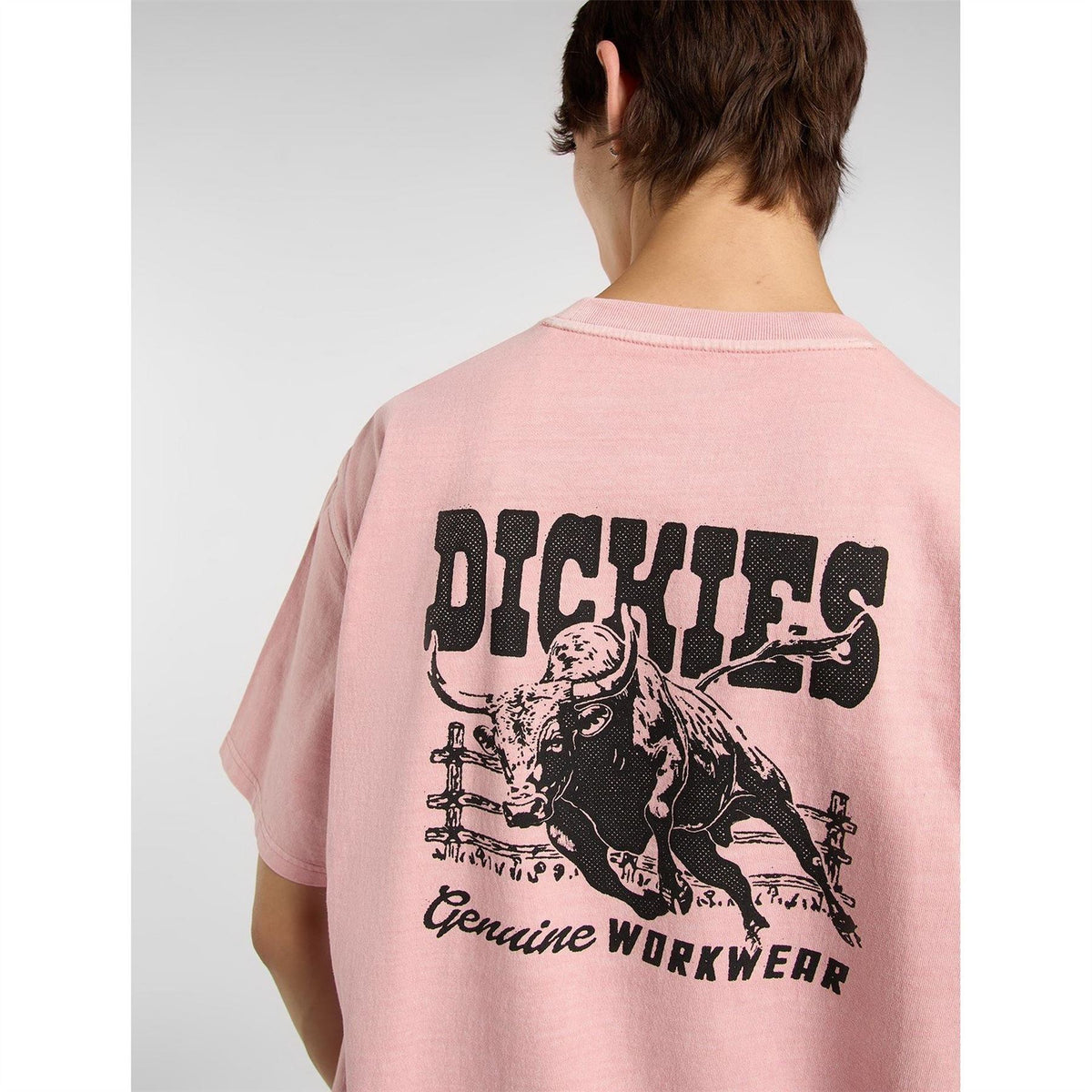 Dickies Mens Buchtell Tee