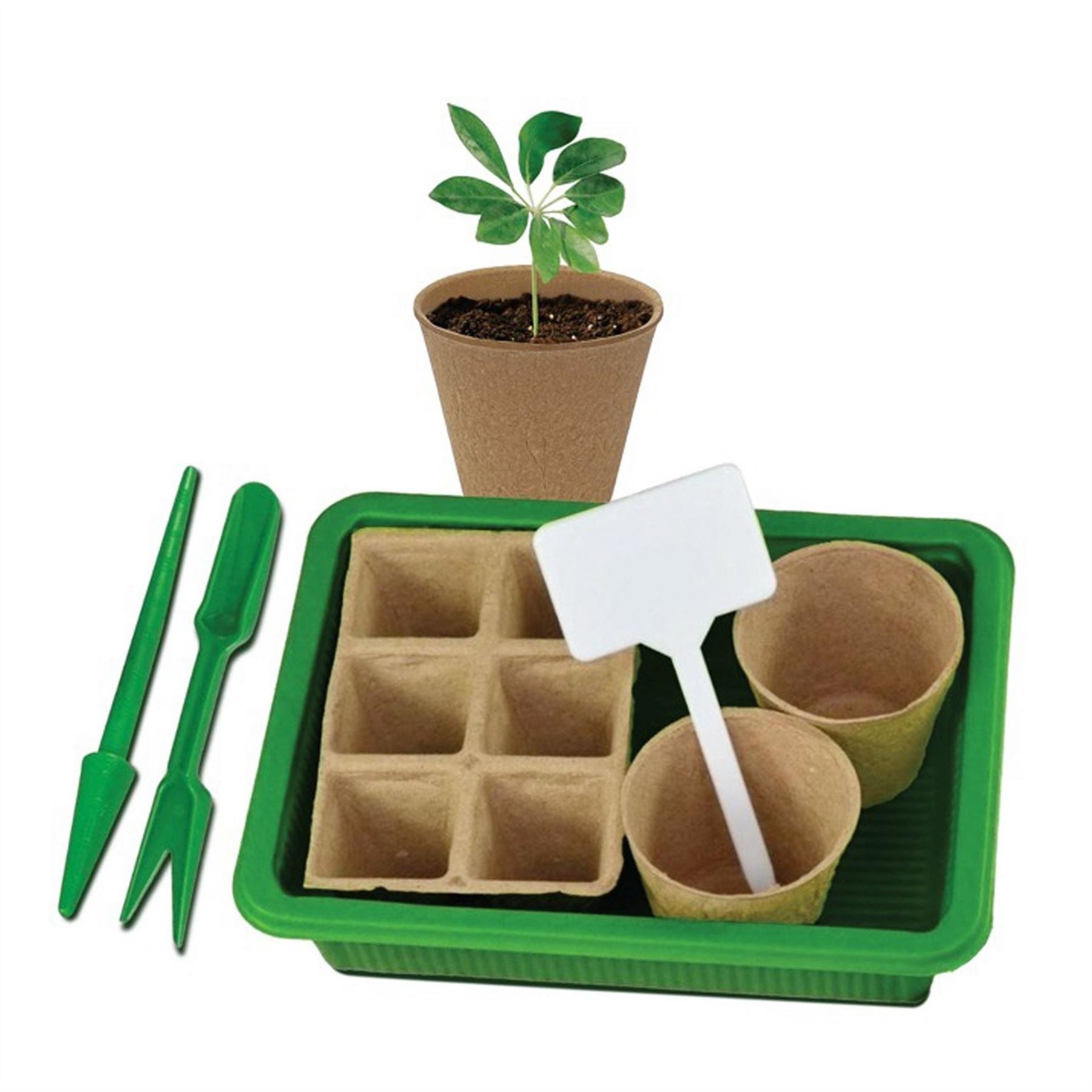 Dekton Piece Seed Starter Kit