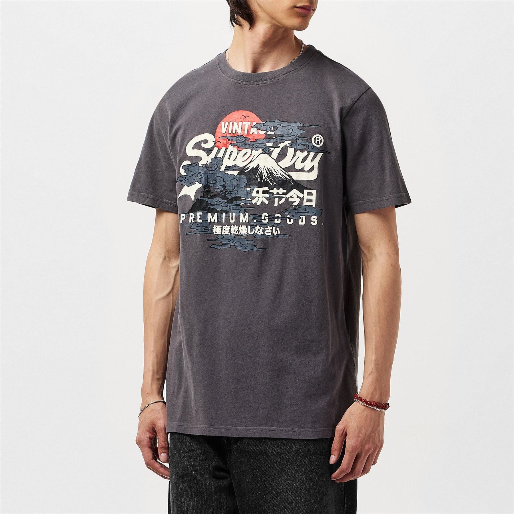 Superdry Tokyo Graphic Regular Fit T-Shirt