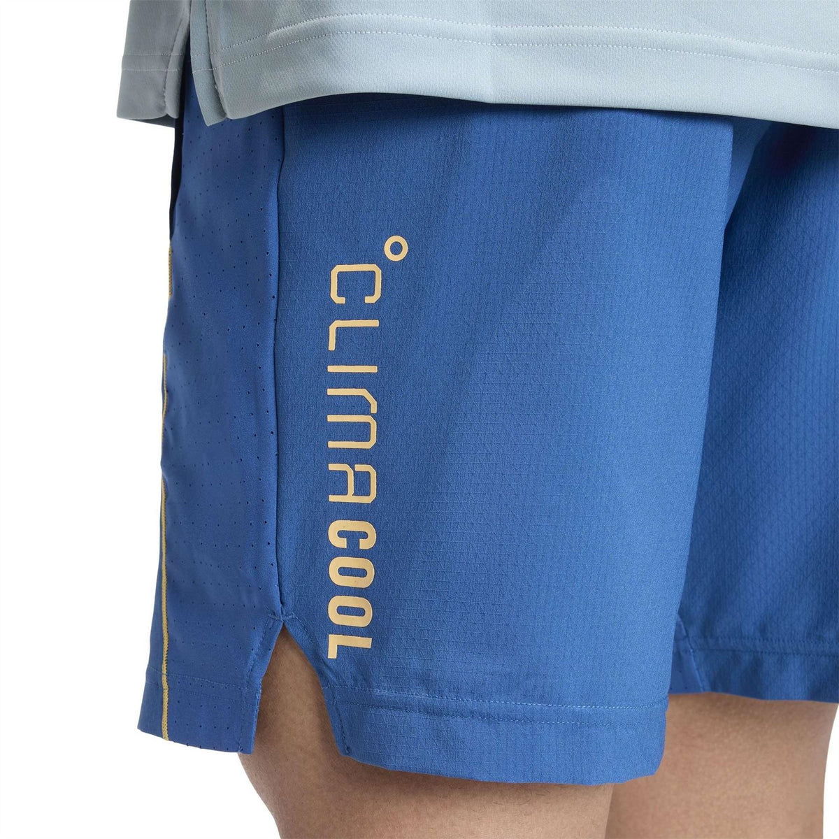 adidas Performance Gym Shorts