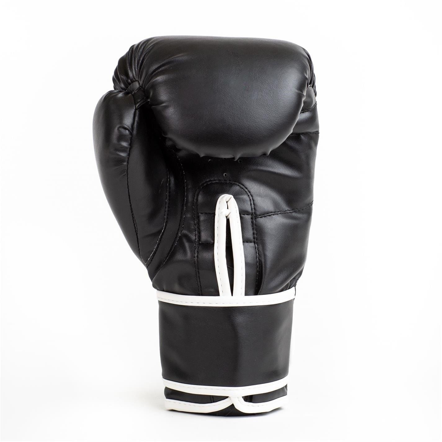 Everlast Core2 Boxing Glove