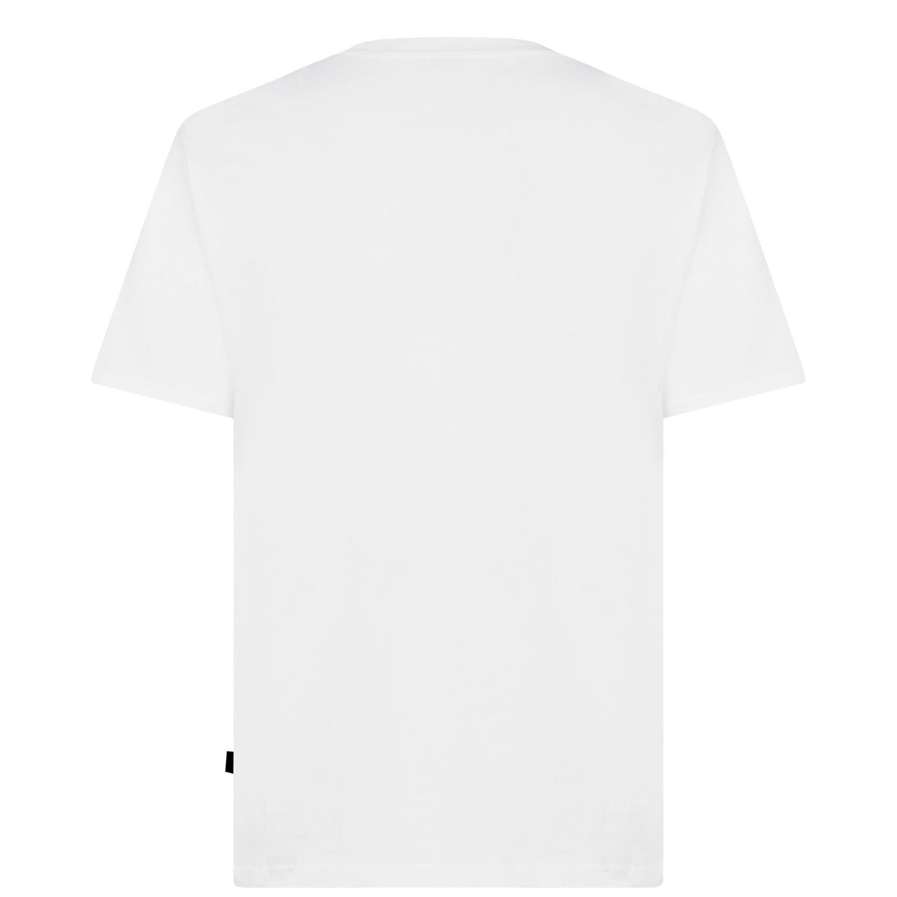 Dickies Regular Fit Mapleton T-Shirt