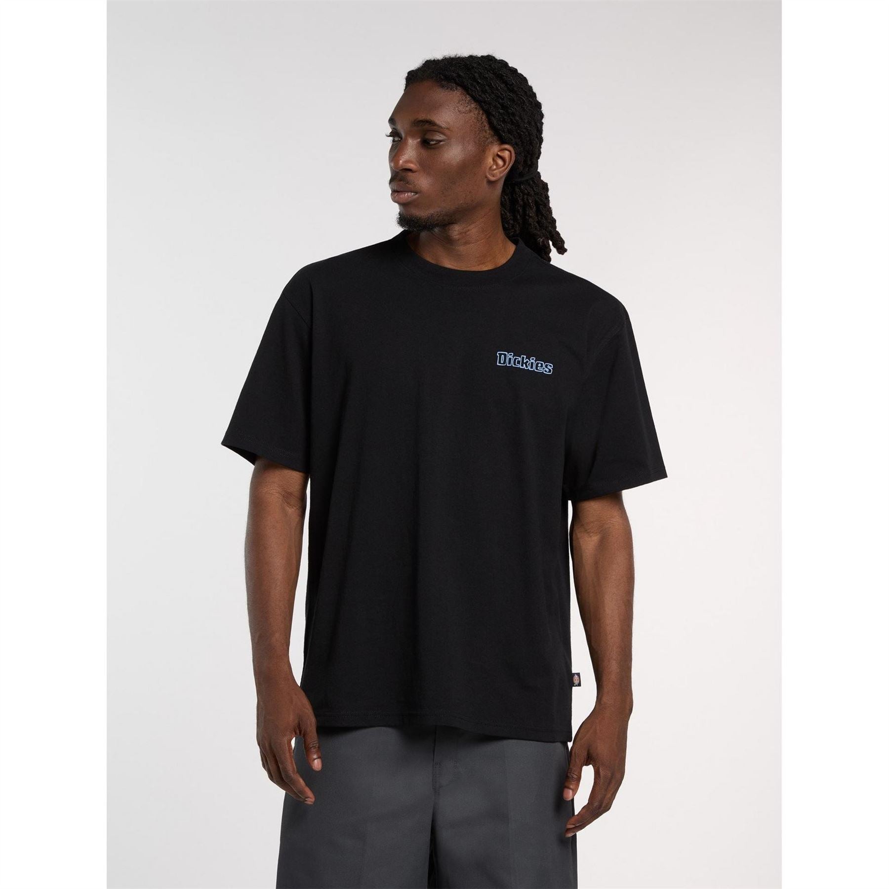 Dickies Mens Fairlawn Tee
