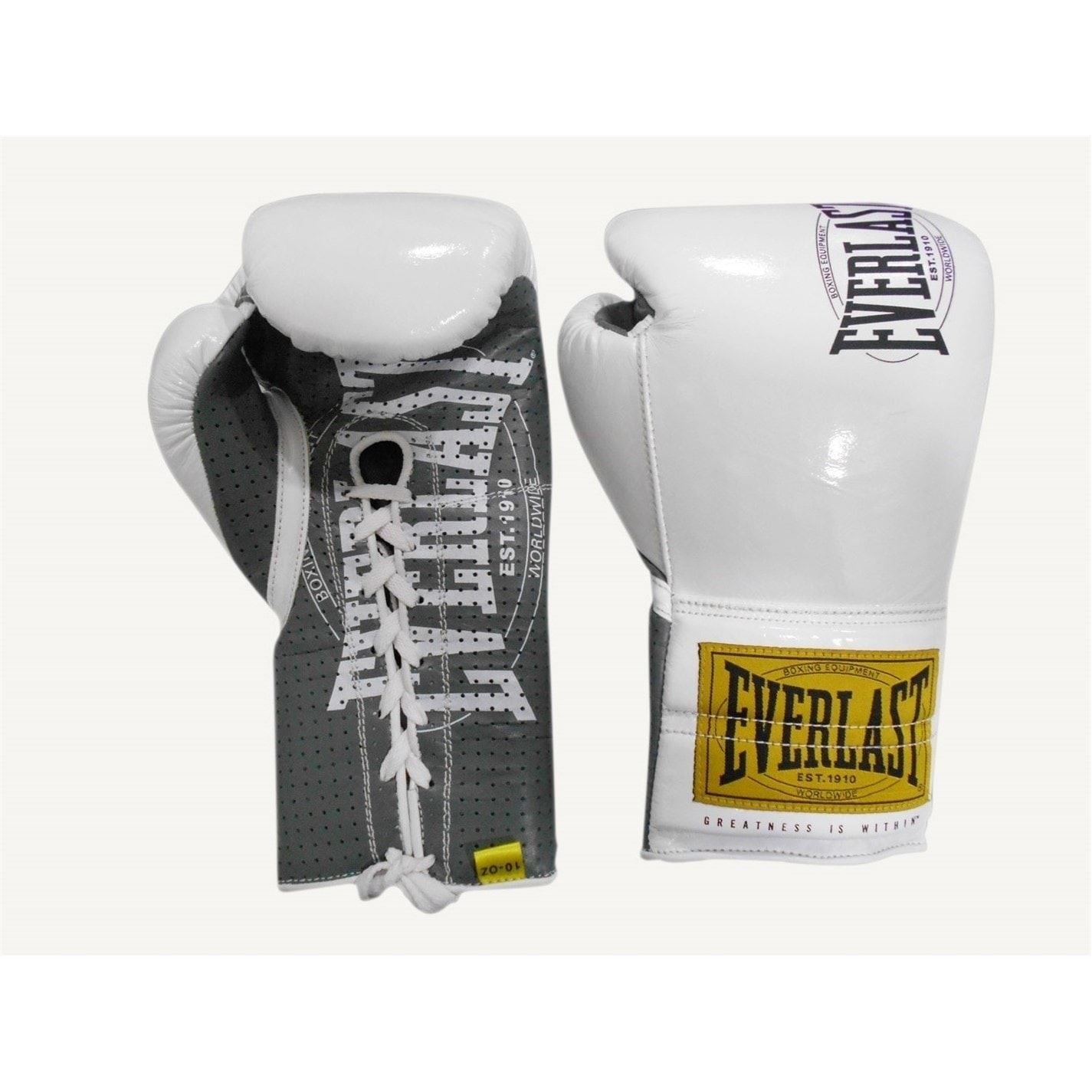 Everlast 1910 Fight Gloves