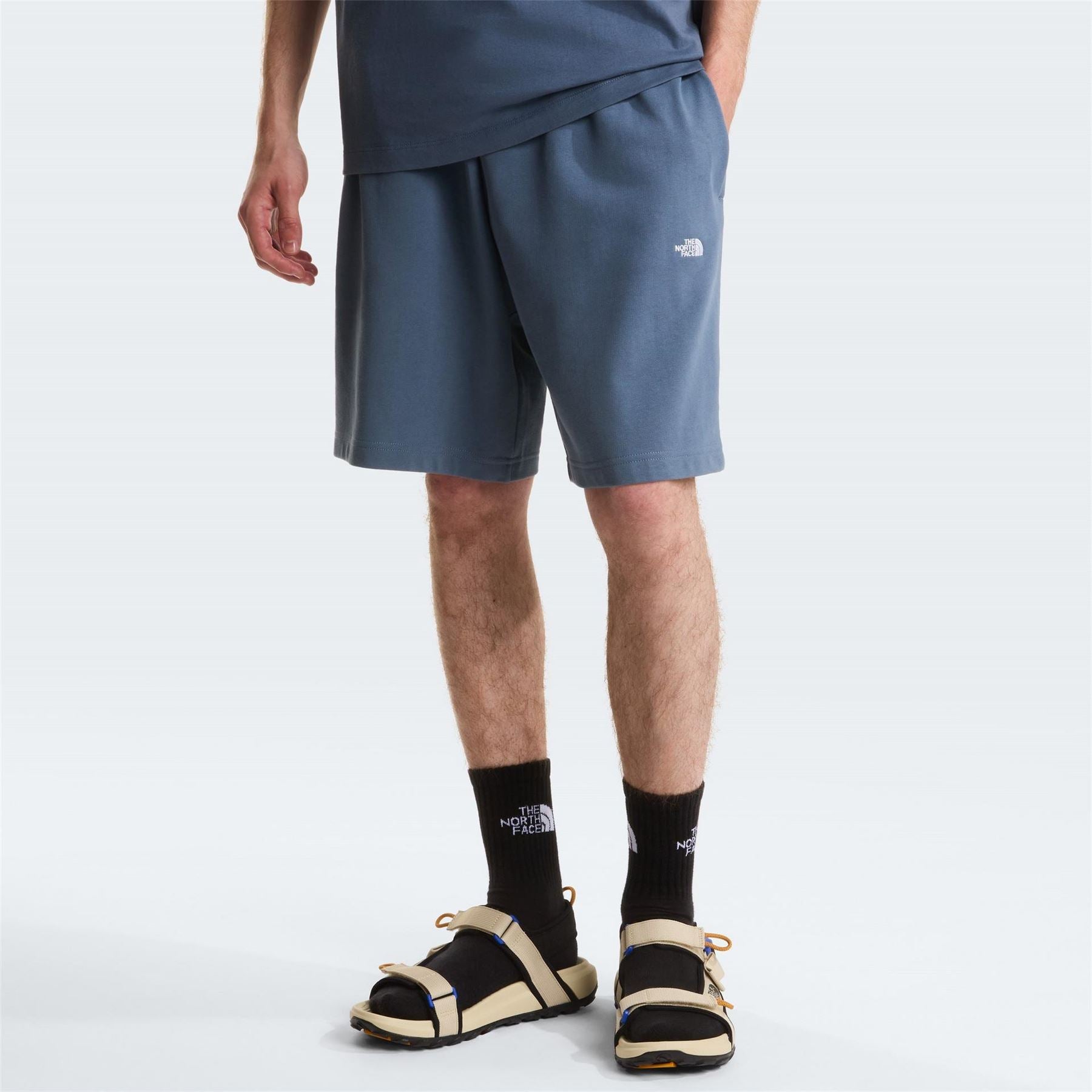 The North Face Mens Ess Relax Shorts
