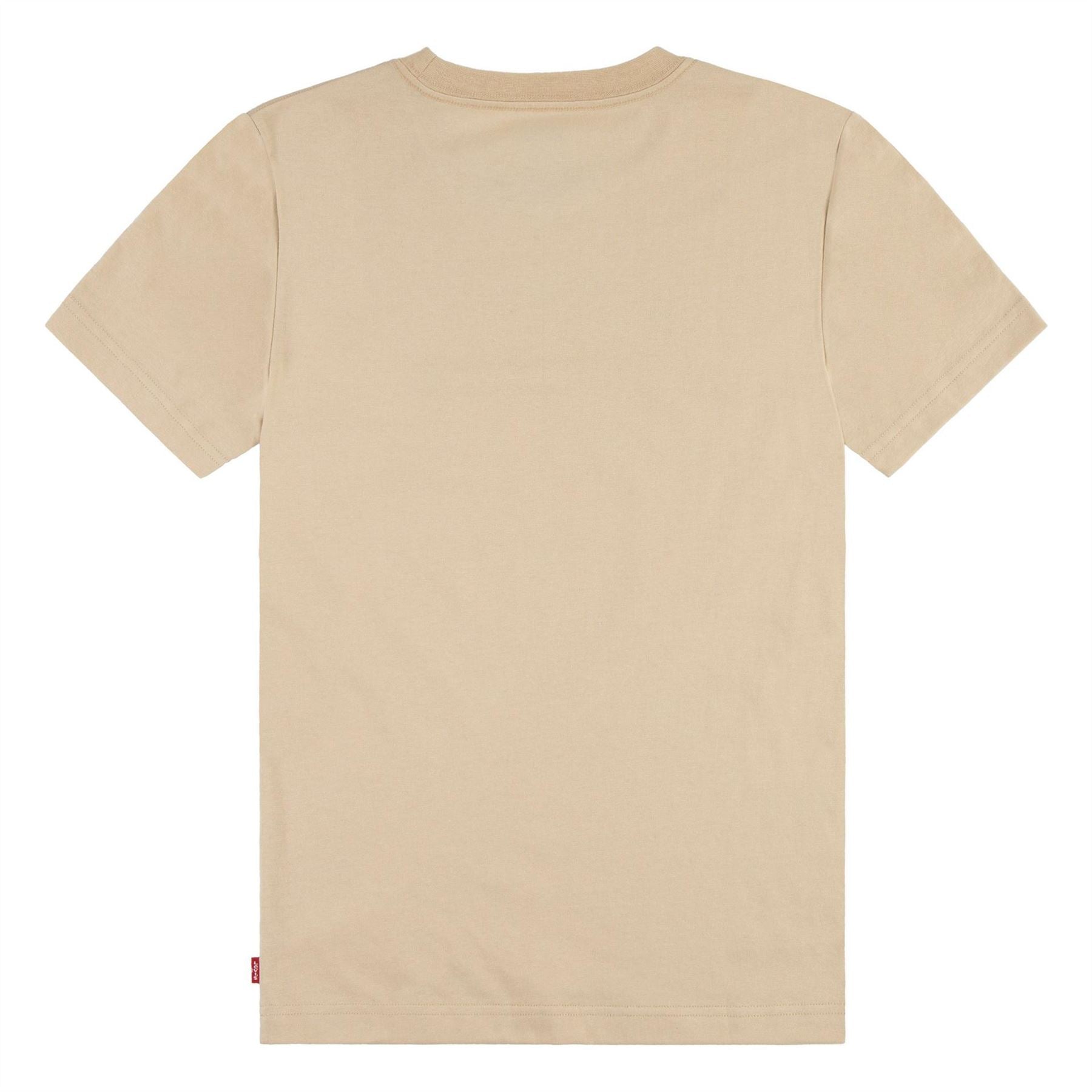 Levis Batwing Regular Fit Crew Neck T-Shirt