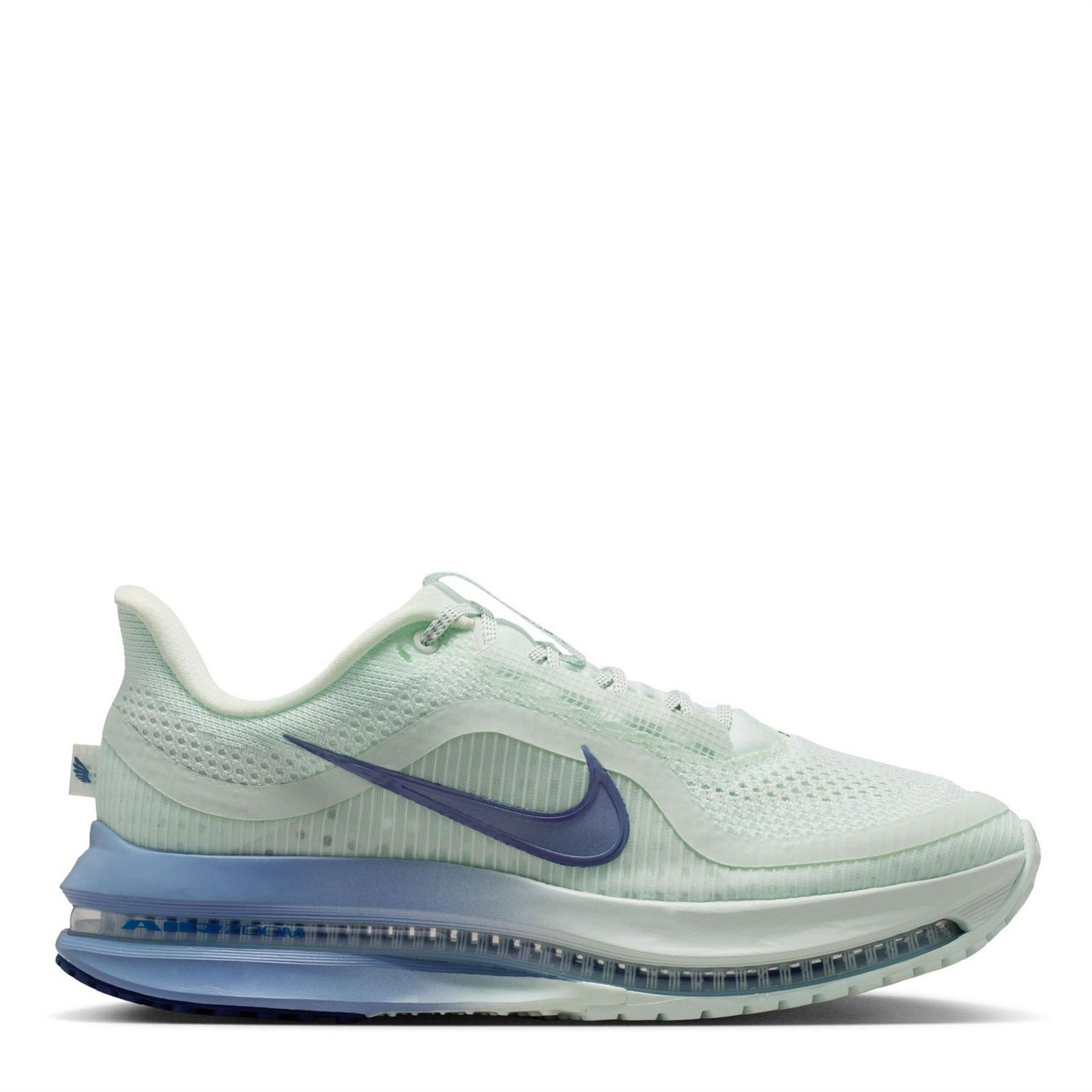 Nike Womens Pegasus Premium Trainers