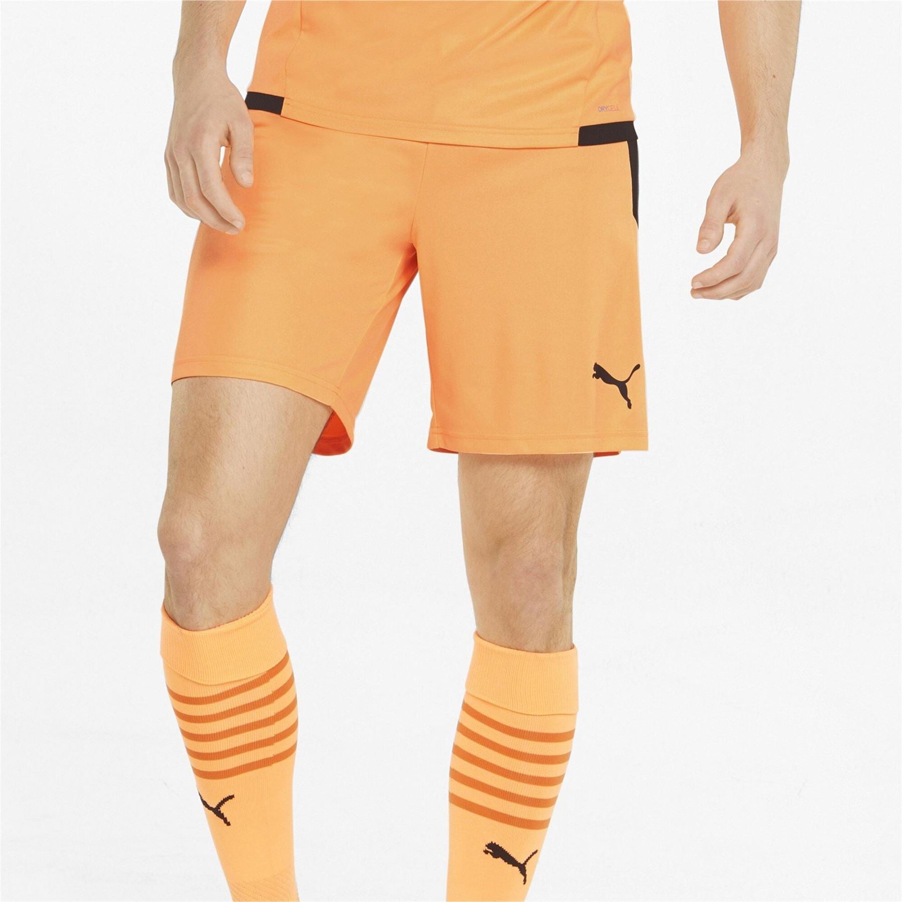 Puma Mens Teamliga Shorts Football Shorts