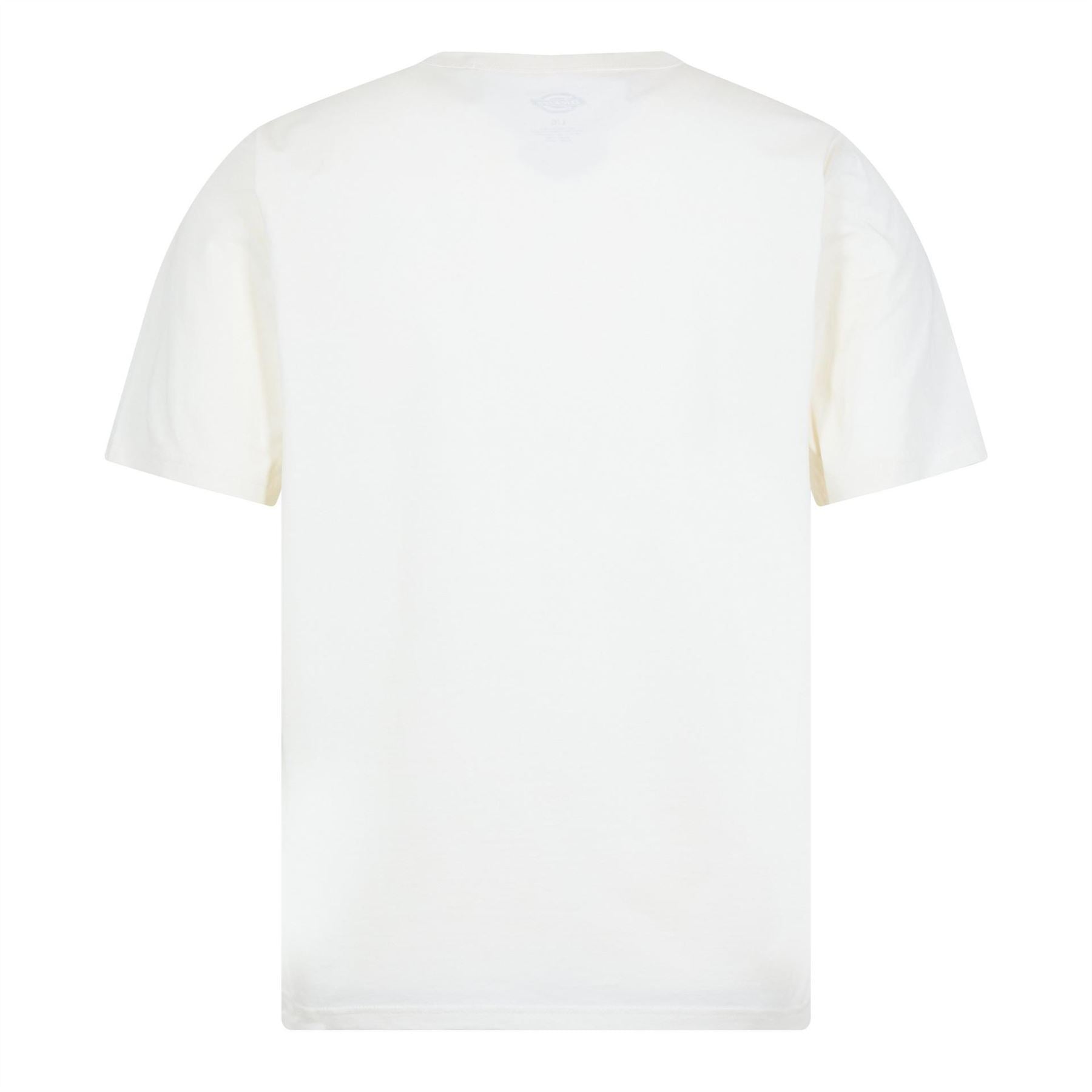 Dickies Aitkin Tee