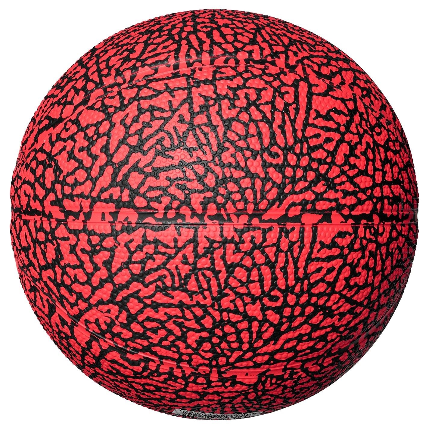 Air Jordan Adults Skills Graphic Basketballs