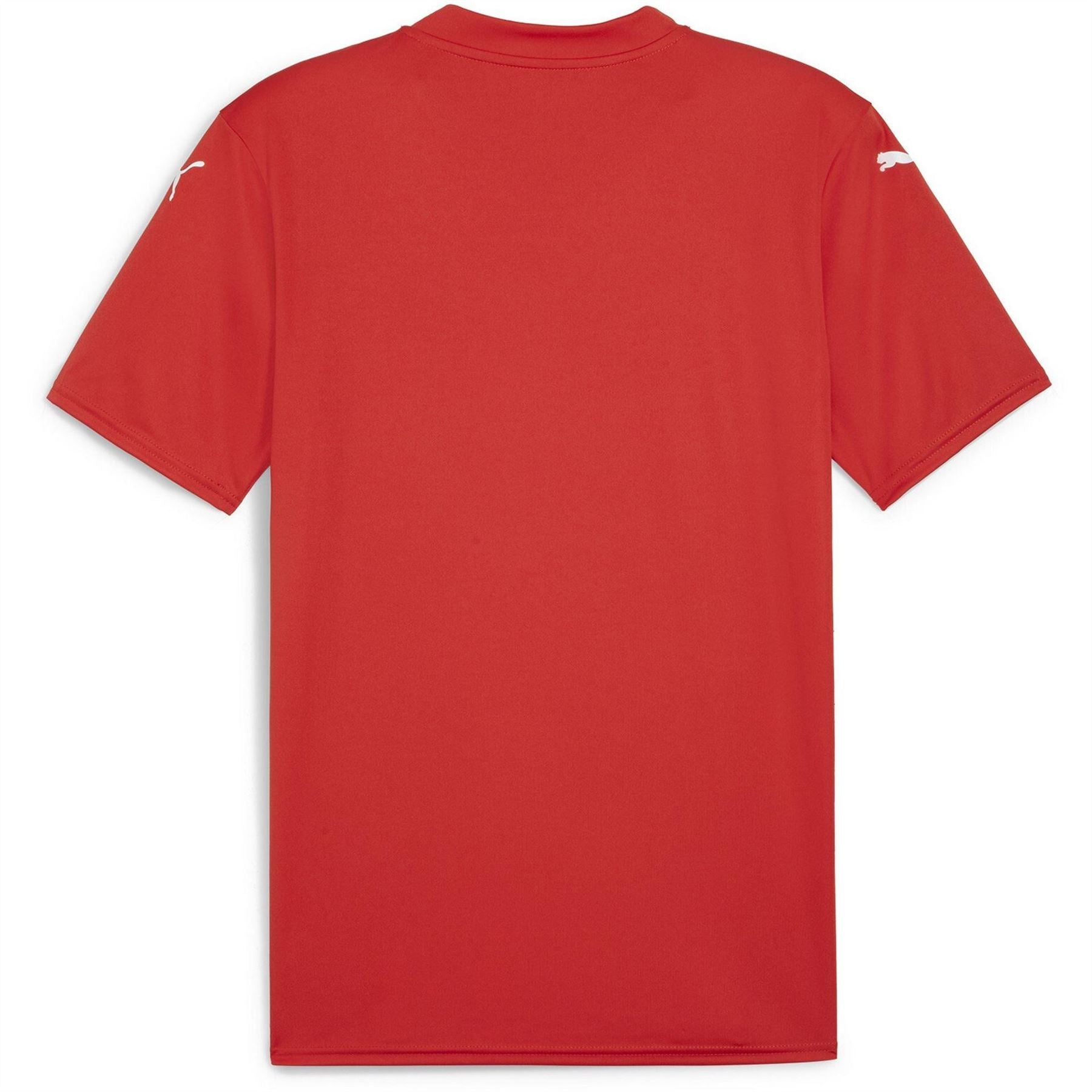 Puma Mens Teamglory Jersey T-Shirt