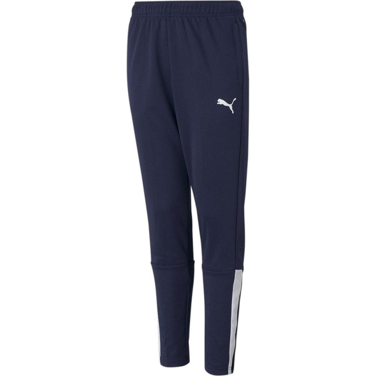 Puma Teamliga Training Pants Jr Tracksuit Bottom Unisex Kids