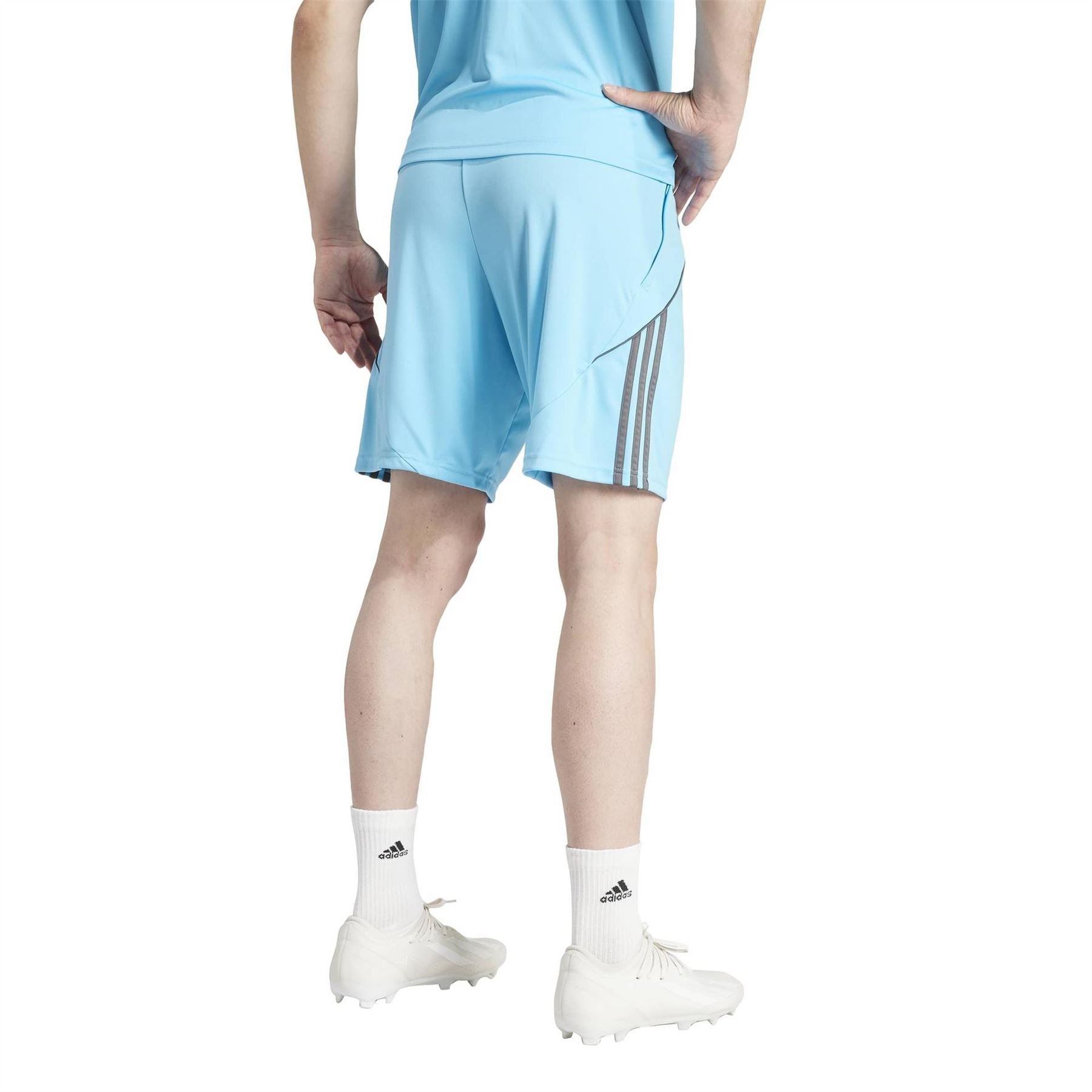 adidas 24 Training Shorts
