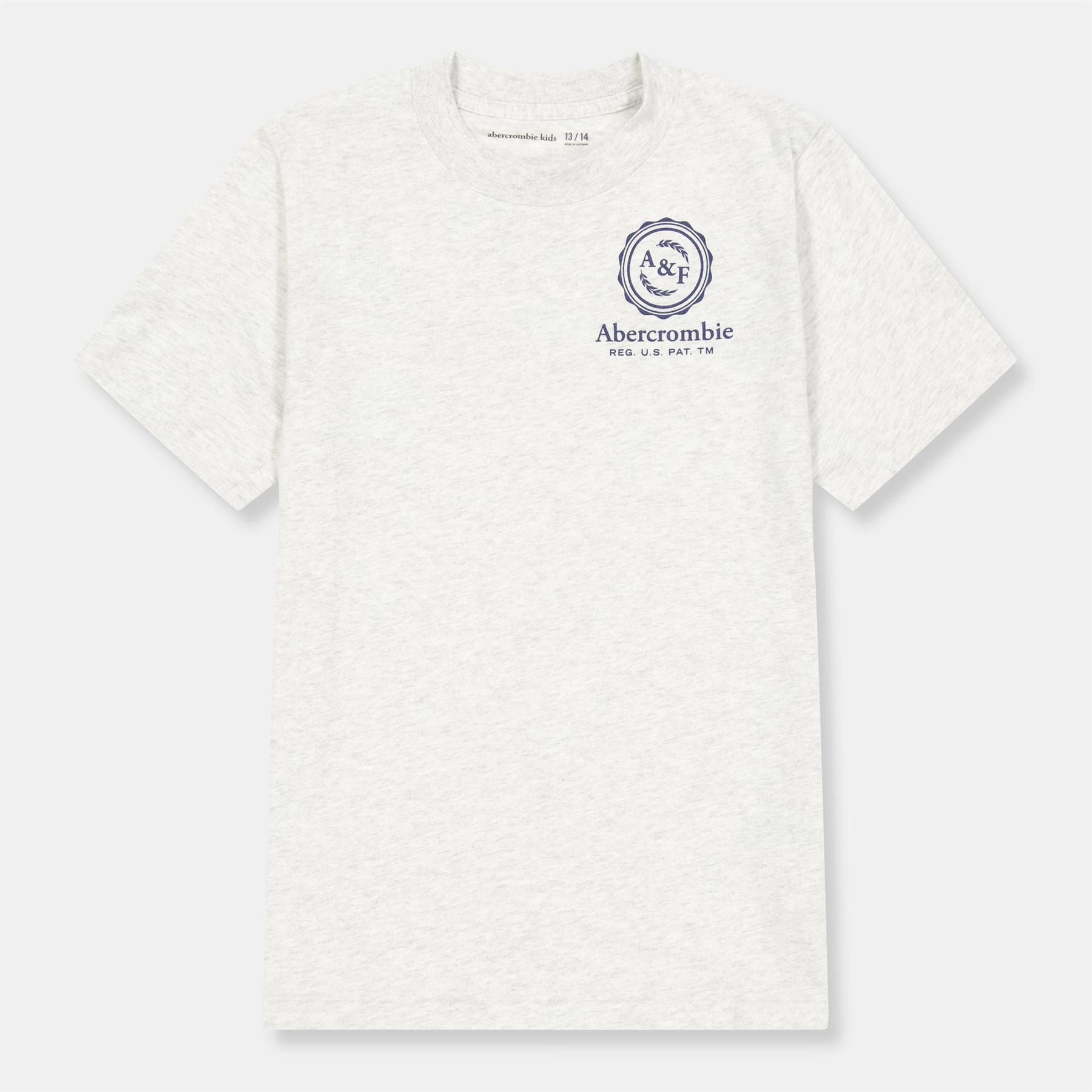 Abercrombie and Fitch And F Foothill Tee Jn54