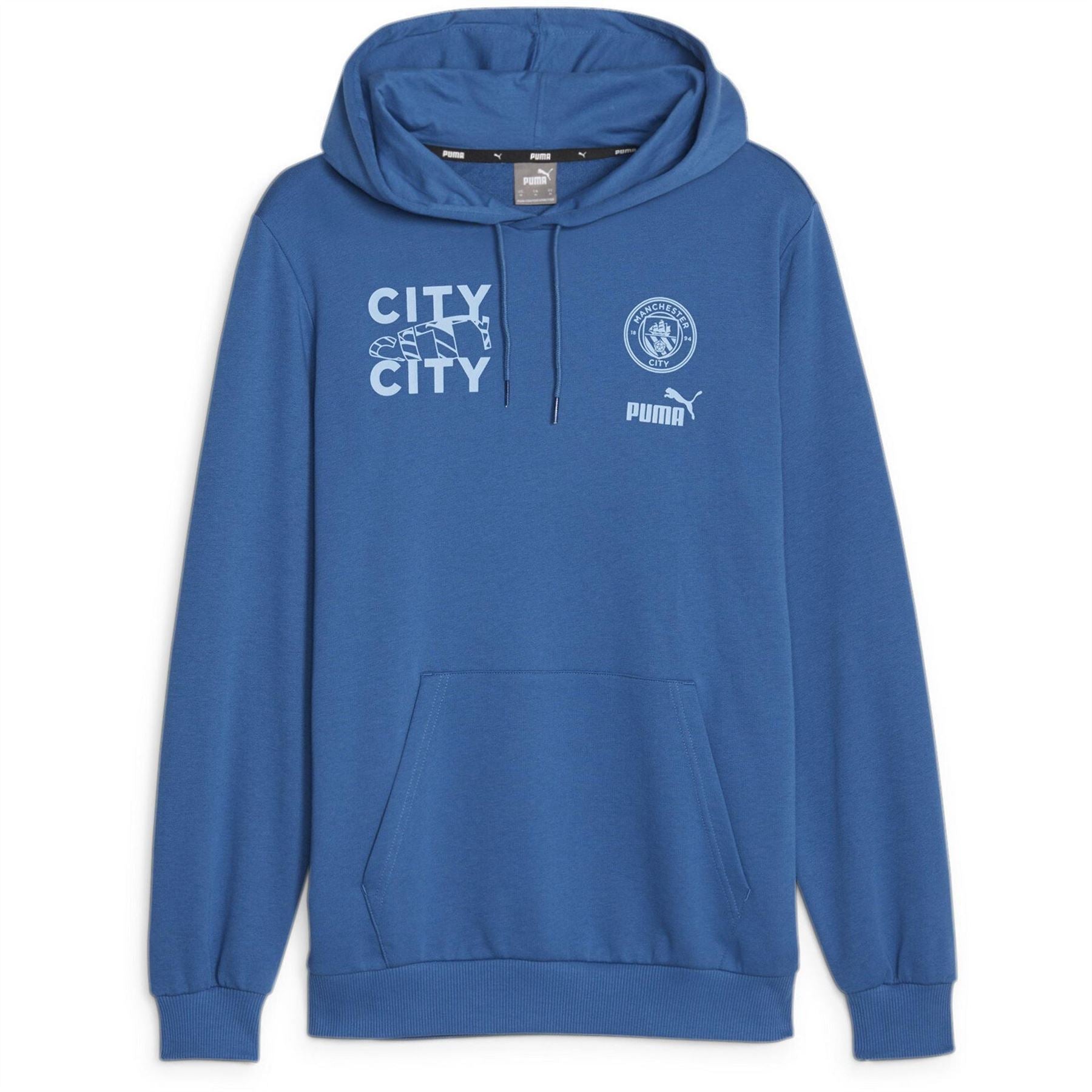 Puma Mens Ftblcore Graphic Hoody