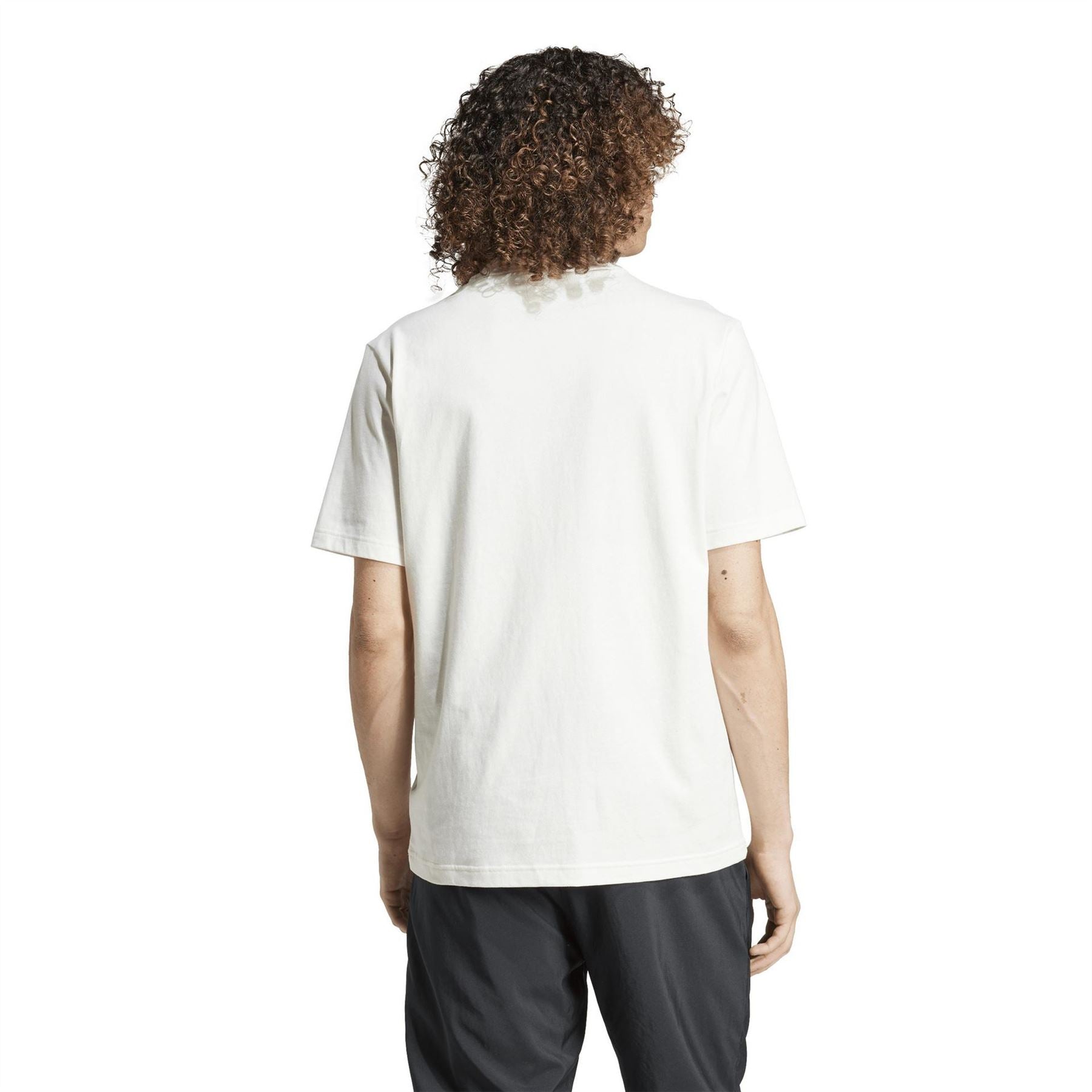 adidas M Ce Tee gd