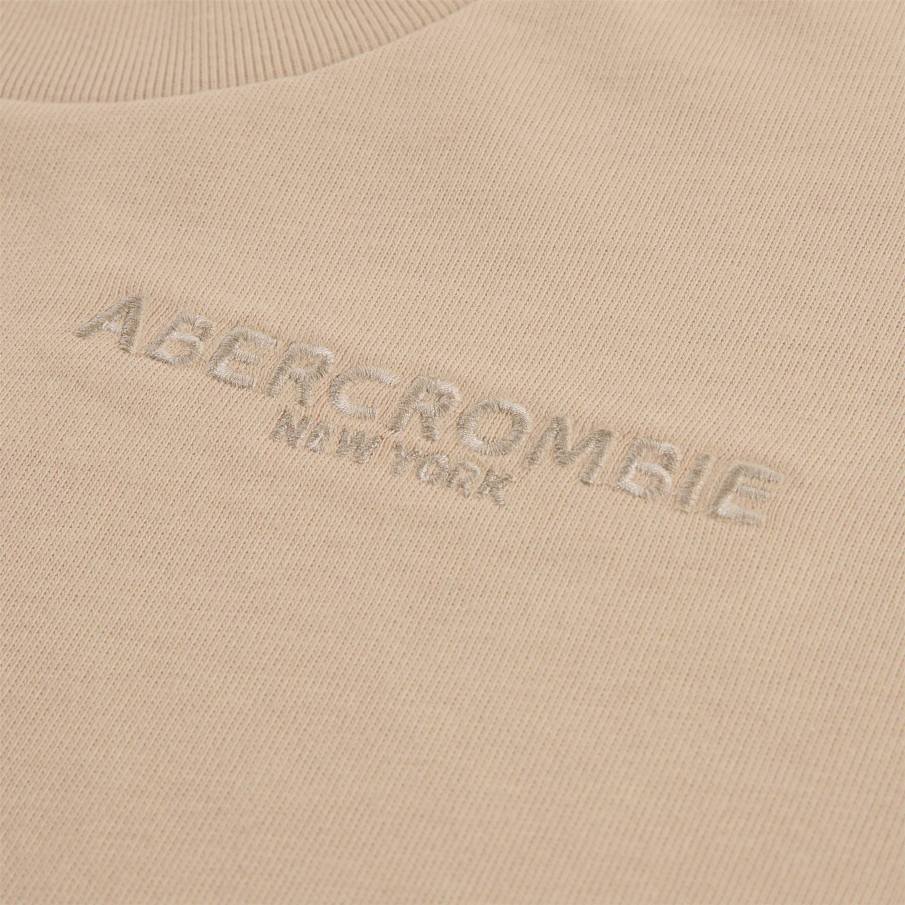 Abercrombie and Fitch T-Shirt