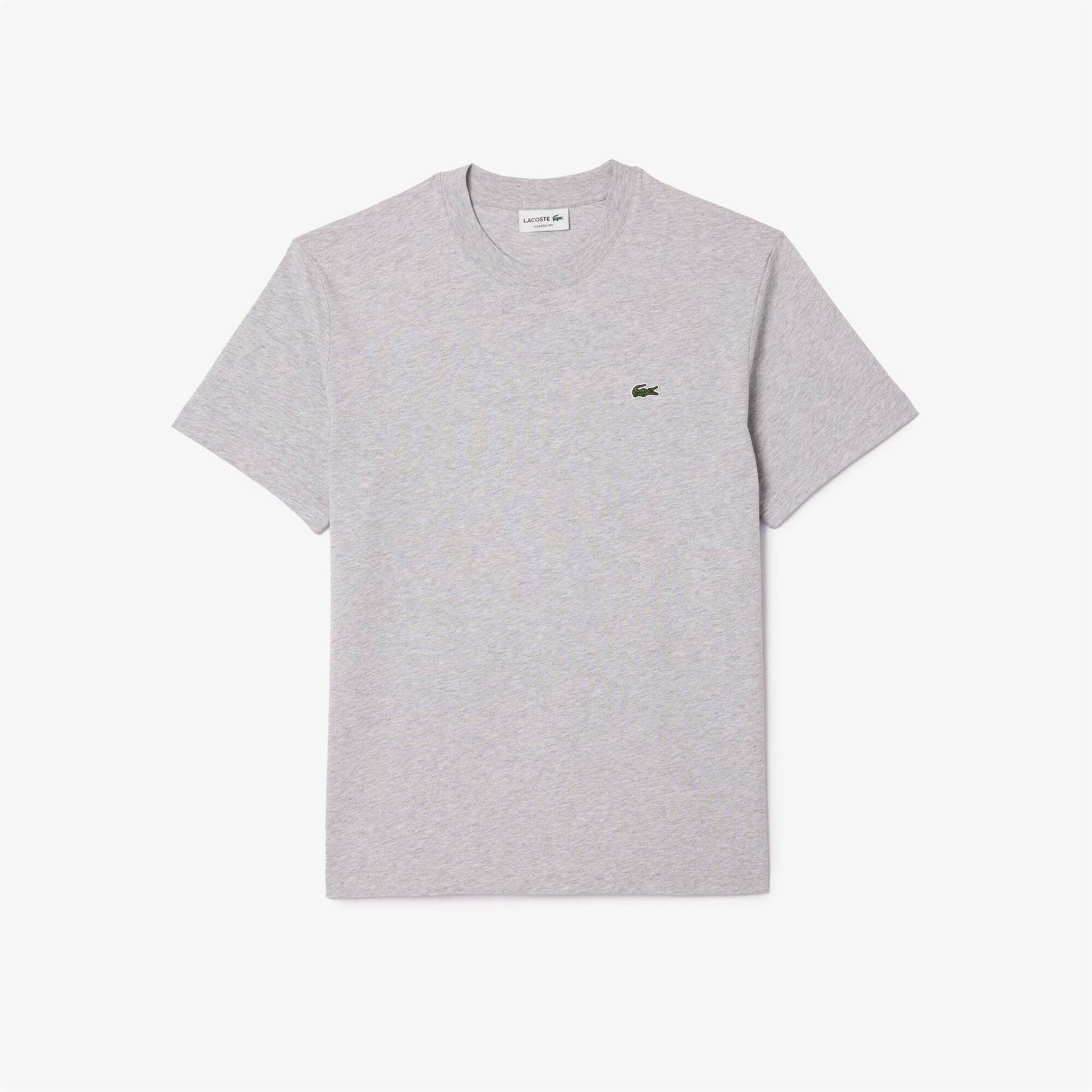 Lacoste Regular Fit Small Logo T-Shirt