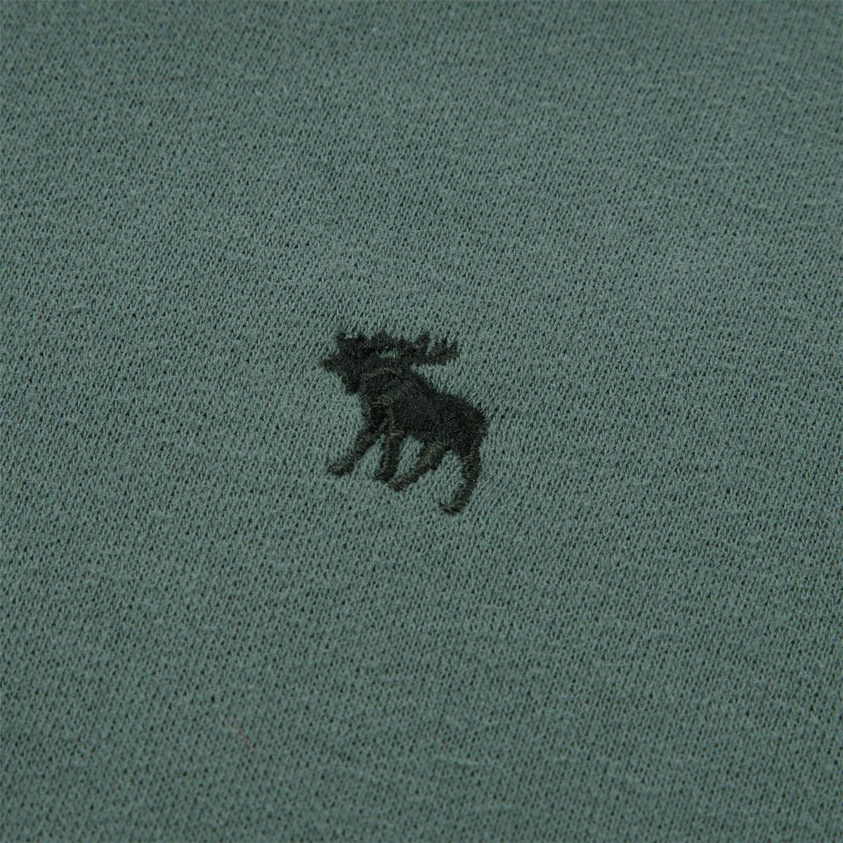 Abercrombie and Fitch And F Esnt Fleece Hoody Jn64